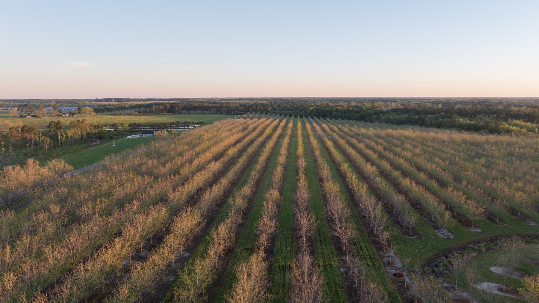 Image for 715+/- Acres - The Home Tract - Weybrenee Farms