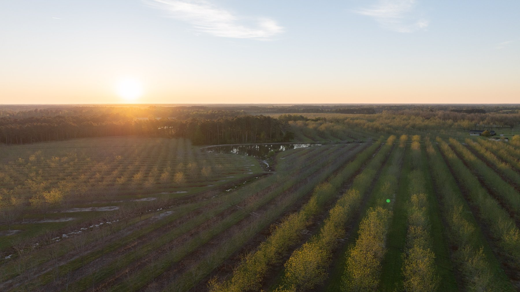 Image for 715+/- Acres - The Home Tract - Weybrenee Farms