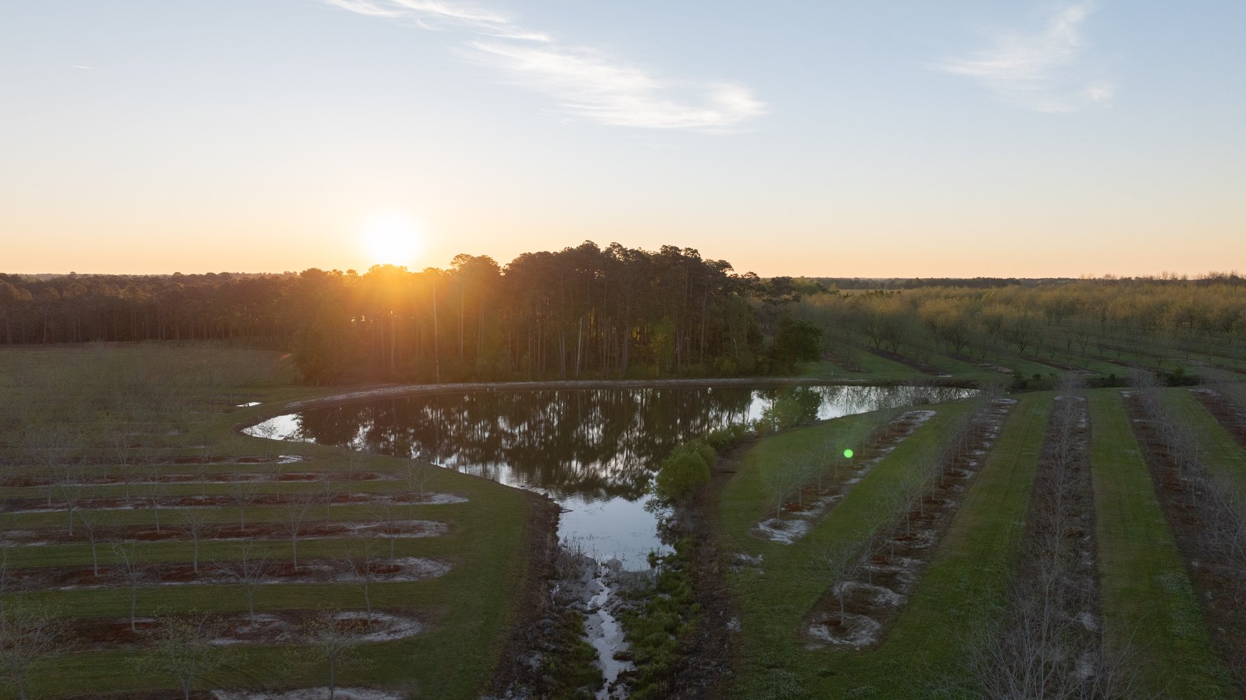 Image for 715+/- Acres - The Home Tract - Weybrenee Farms