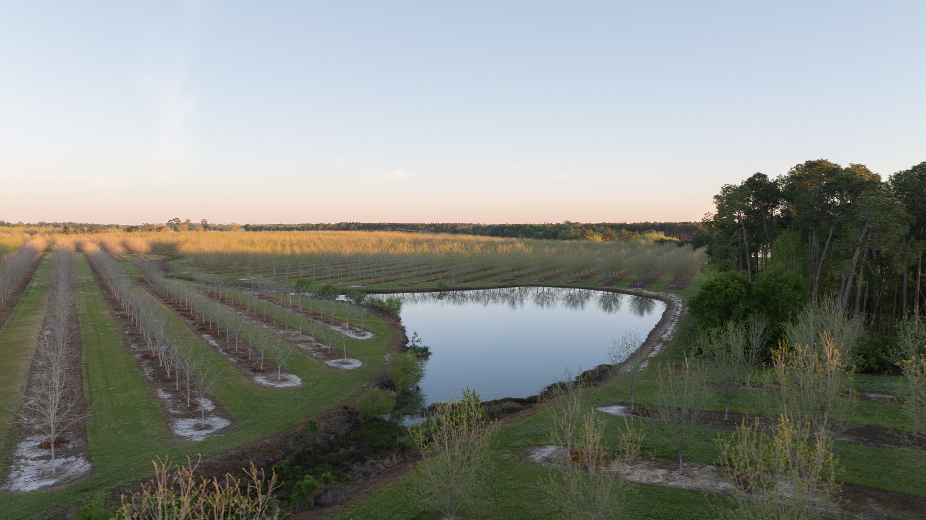 Image for 715+/- Acres - The Home Tract - Weybrenee Farms