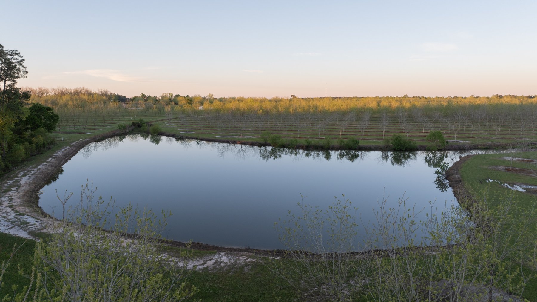 Image for 715+/- Acres - The Home Tract - Weybrenee Farms