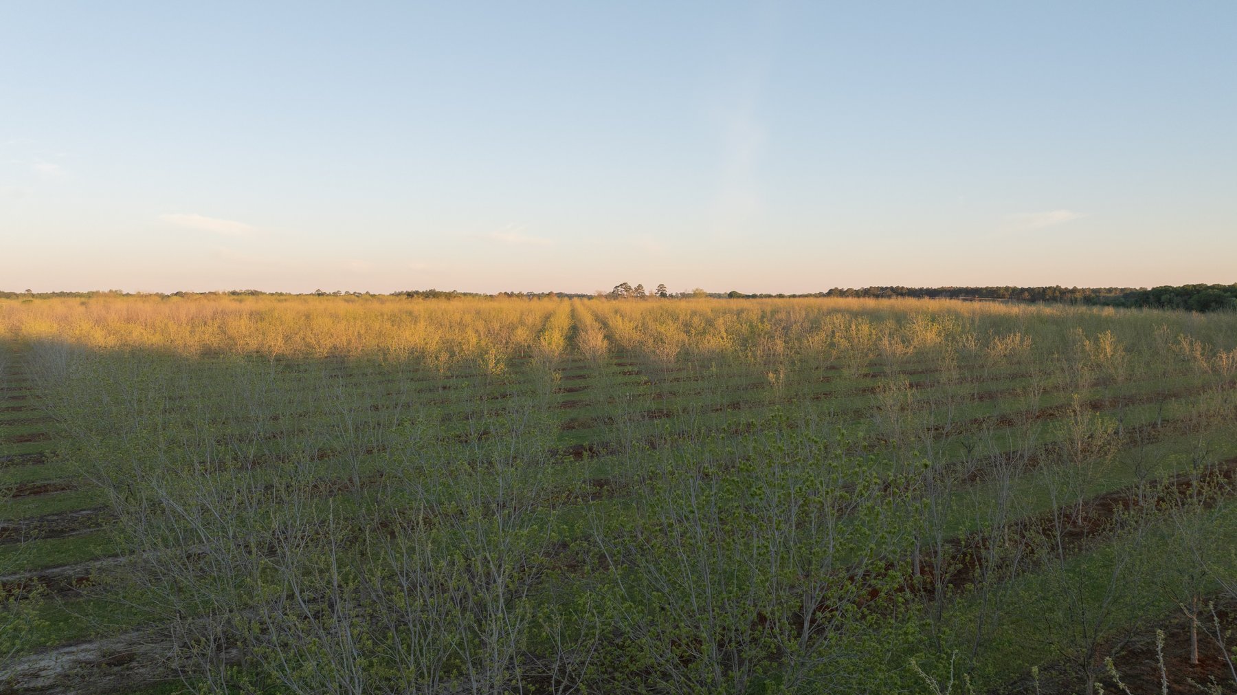 Image for 715+/- Acres - The Home Tract - Weybrenee Farms