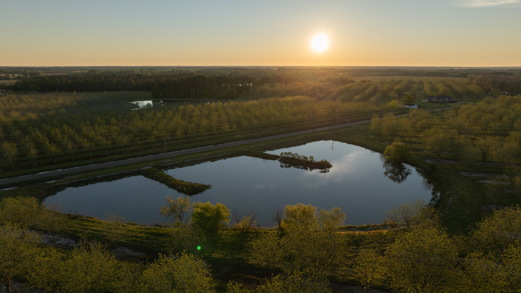 Image for 715+/- Acres - The Home Tract - Weybrenee Farms