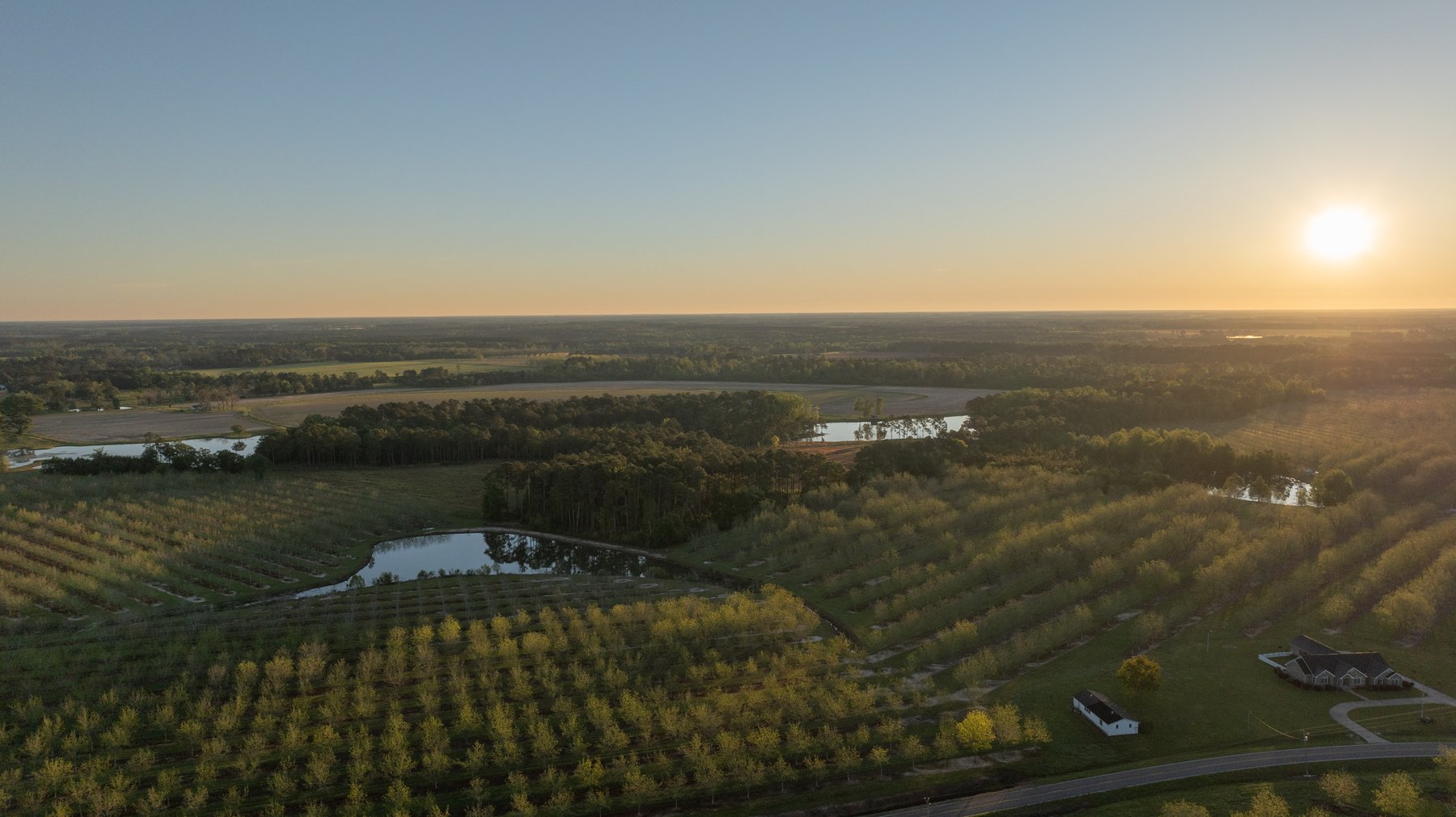 Image for 715+/- Acres - The Home Tract - Weybrenee Farms