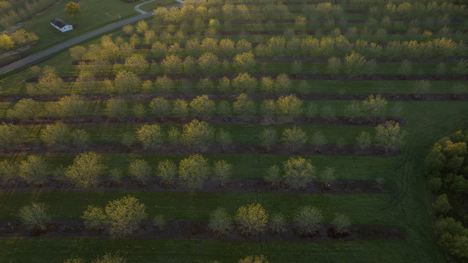 Image for 715+/- Acres - The Home Tract - Weybrenee Farms