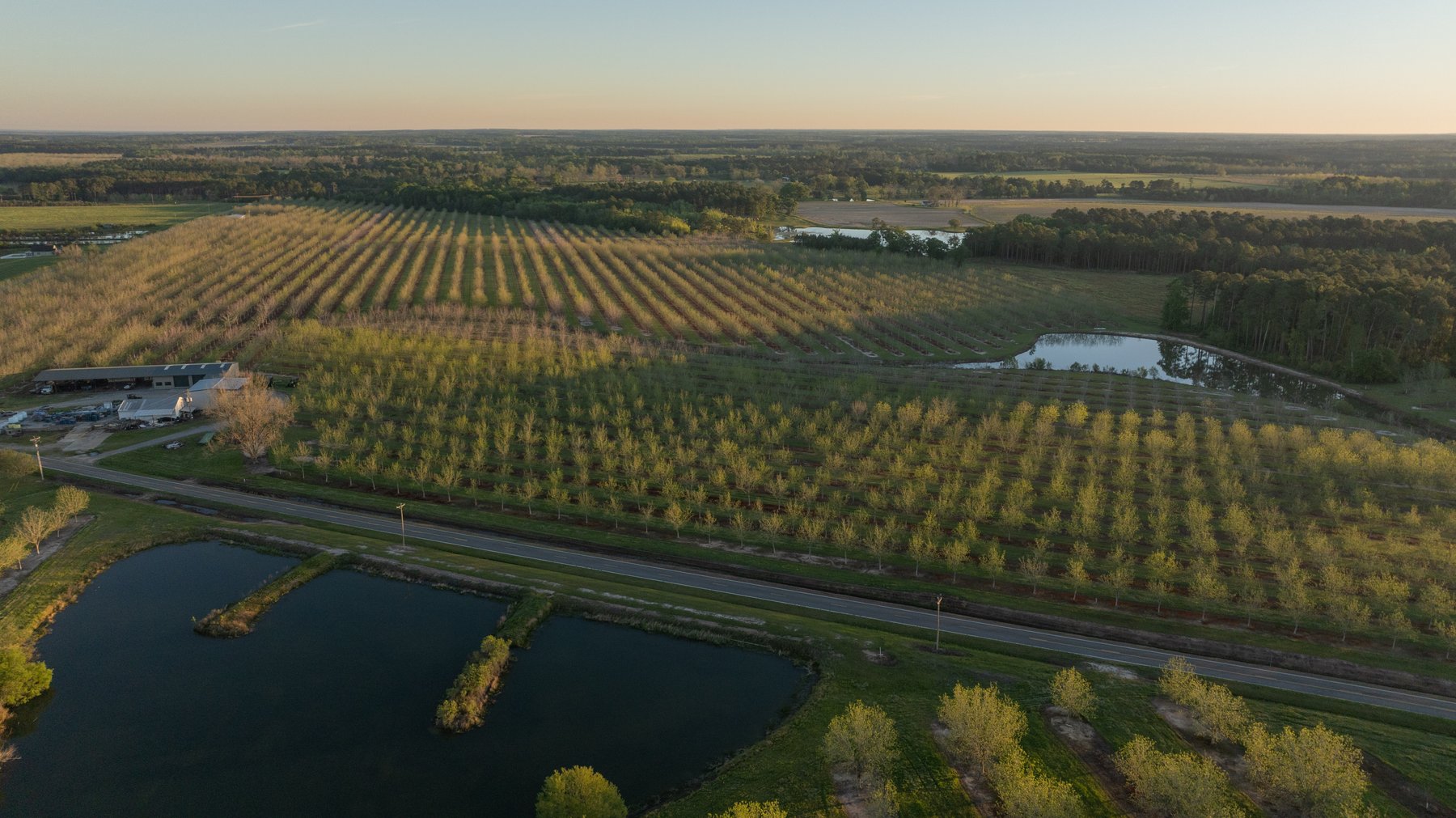 Image for 715+/- Acres - The Home Tract - Weybrenee Farms