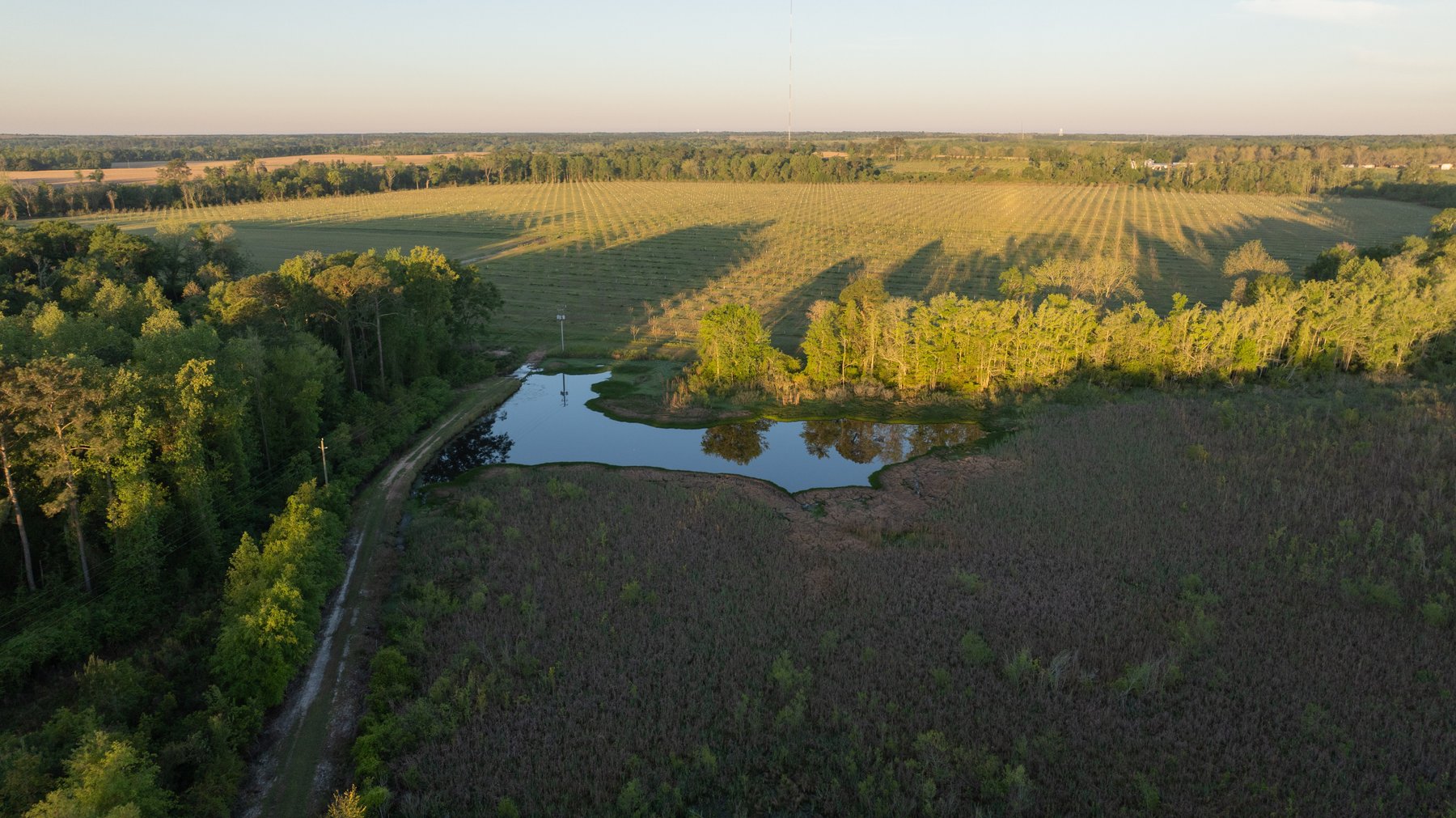 Image for 715+/- Acres - The Home Tract - Weybrenee Farms