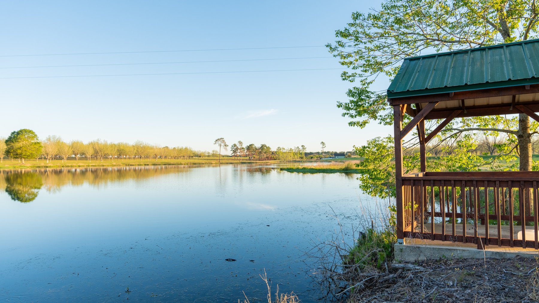 Image for 715+/- Acres - The Home Tract - Weybrenee Farms