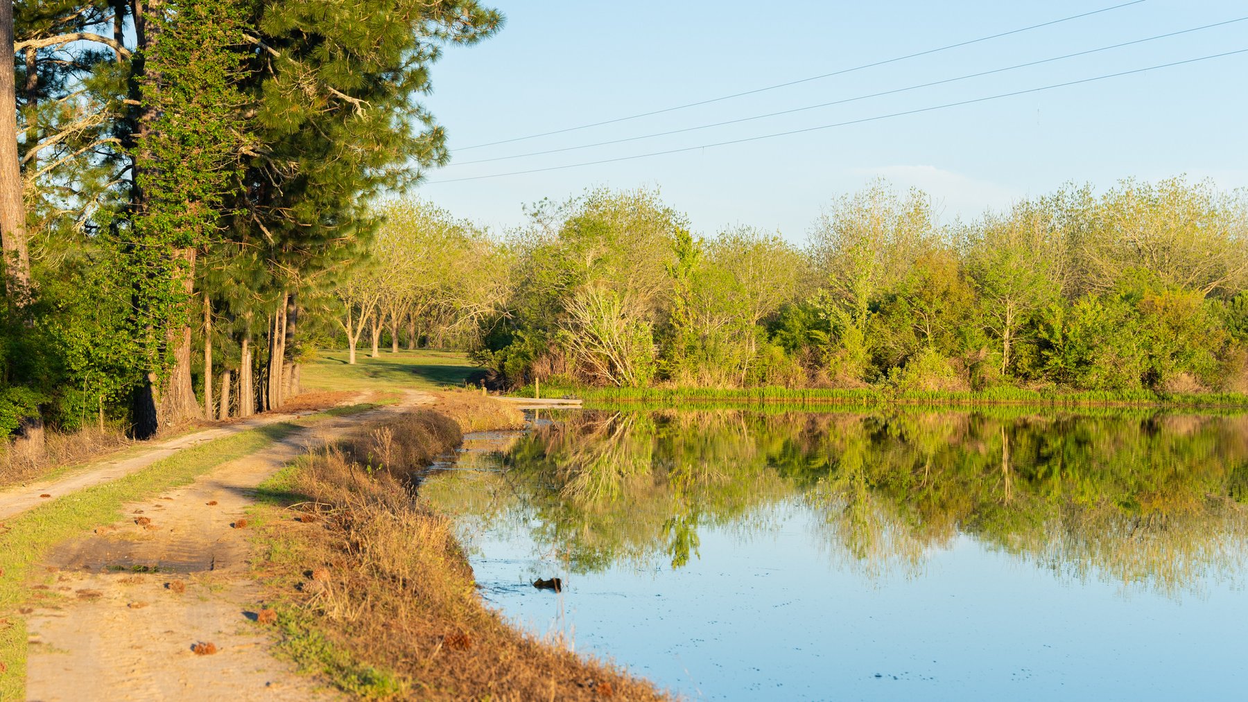 Image for 715+/- Acres - The Home Tract - Weybrenee Farms