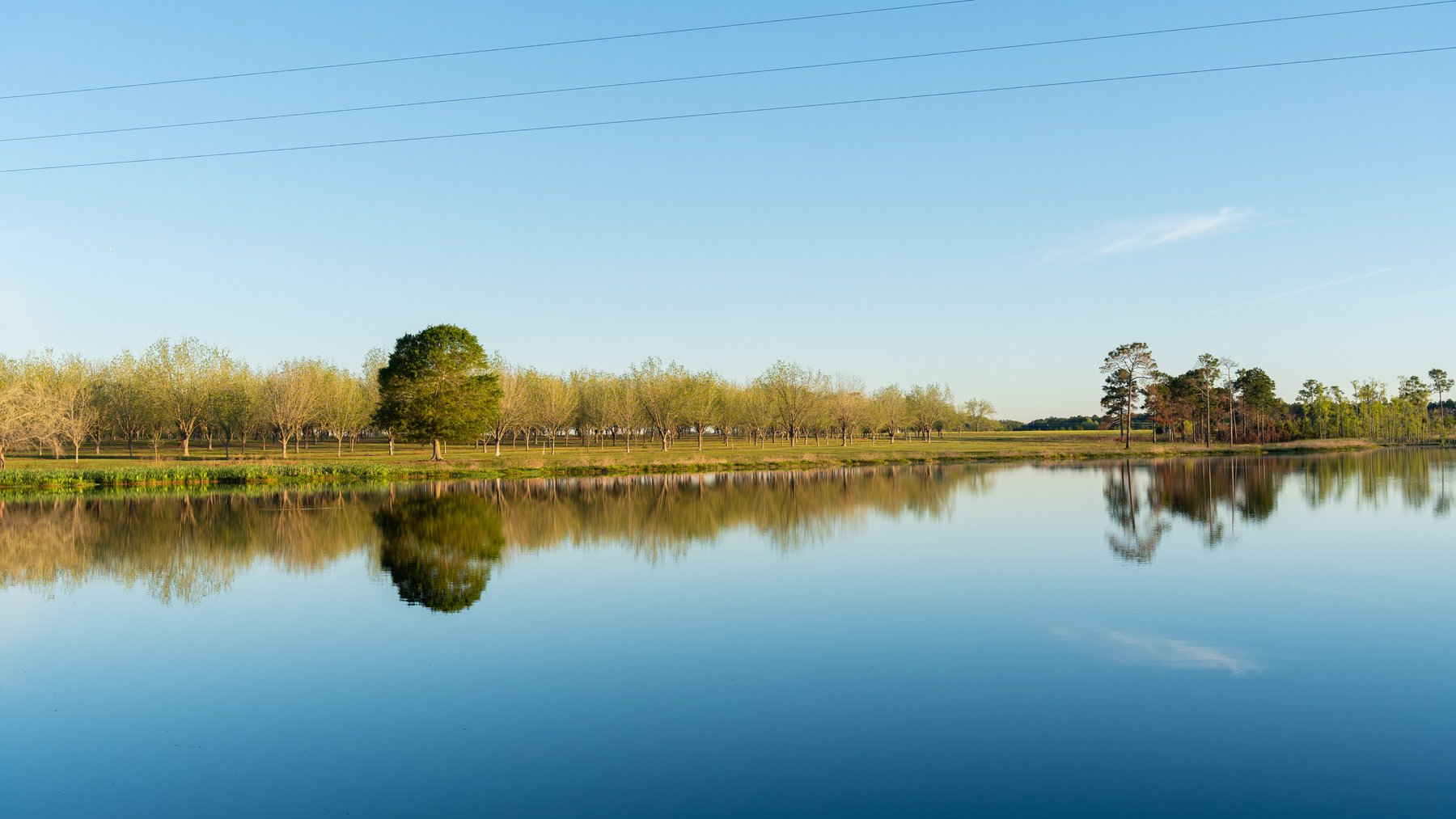 Image for 715+/- Acres - The Home Tract - Weybrenee Farms