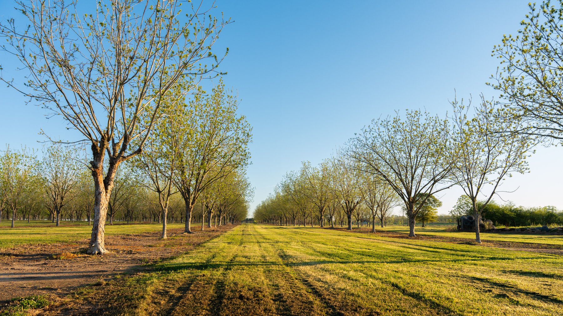 Image for 715+/- Acres - The Home Tract - Weybrenee Farms