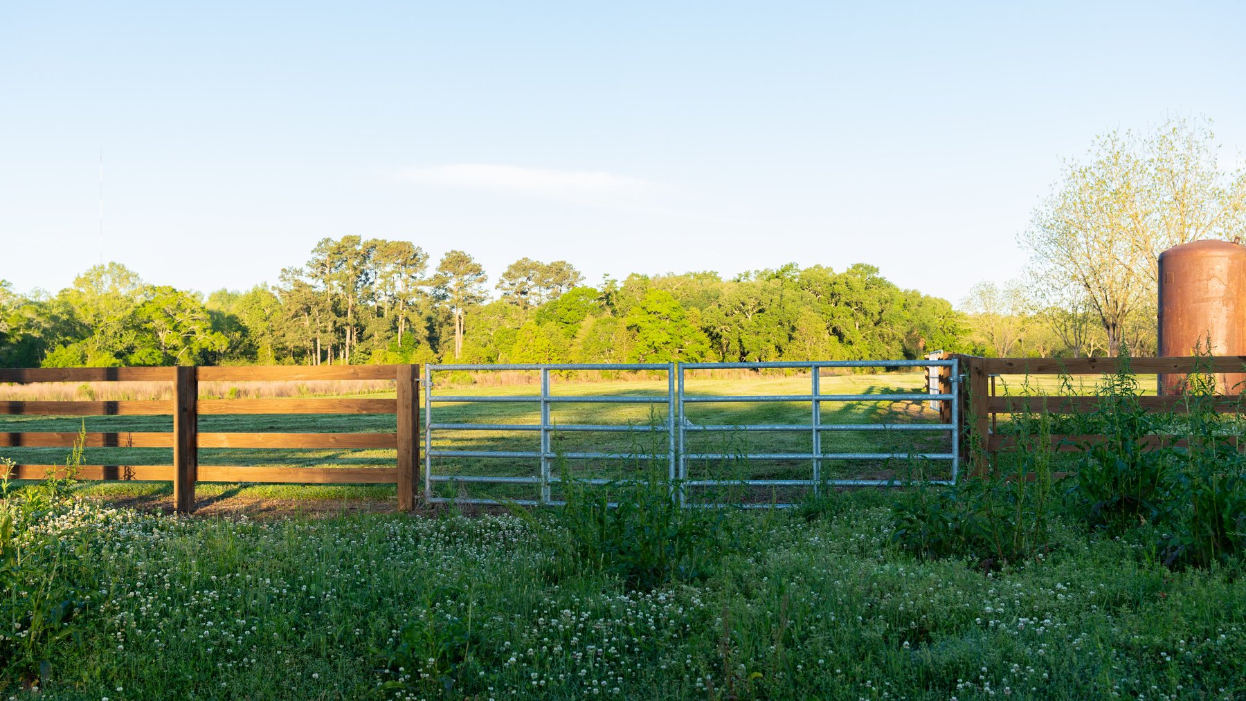 Image for 715+/- Acres - The Home Tract - Weybrenee Farms