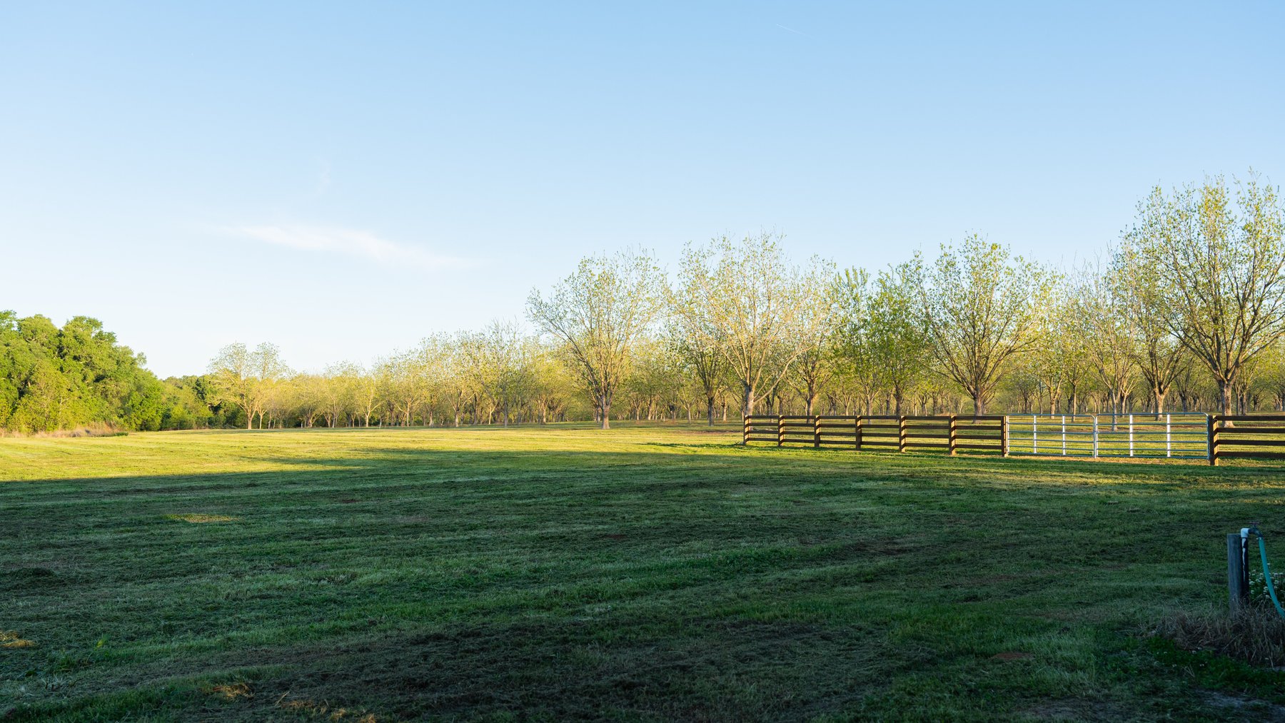 Image for 715+/- Acres - The Home Tract - Weybrenee Farms