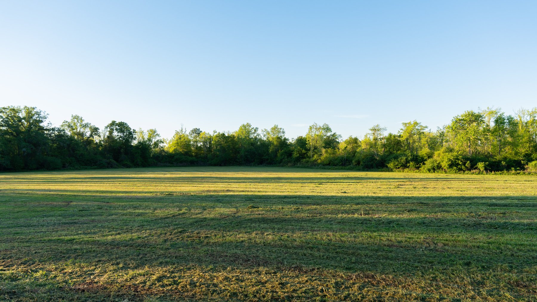 Image for 715+/- Acres - The Home Tract - Weybrenee Farms