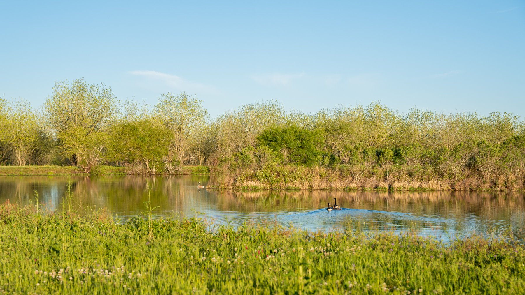 Image for 715+/- Acres - The Home Tract - Weybrenee Farms