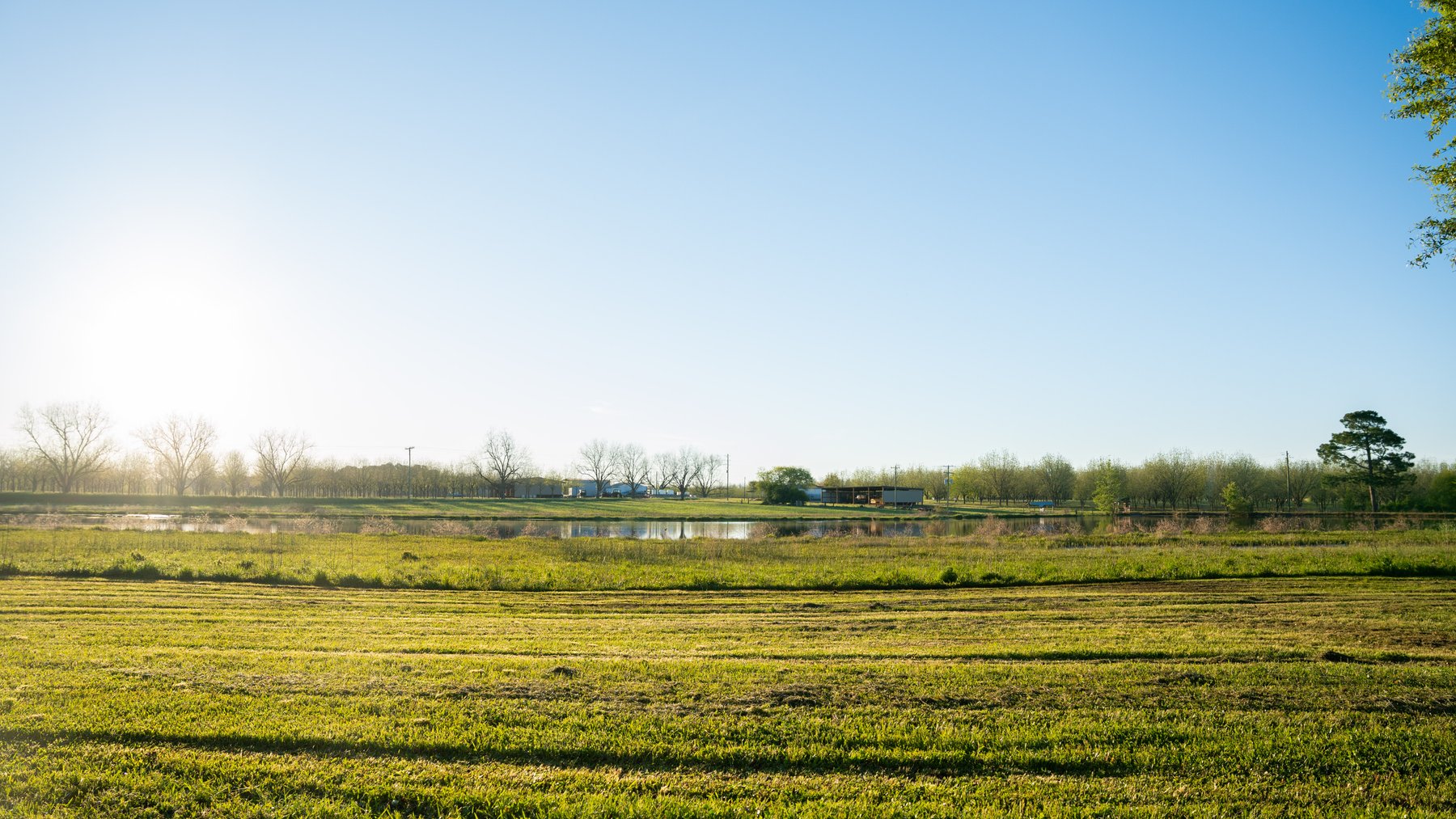 Image for 715+/- Acres - The Home Tract - Weybrenee Farms