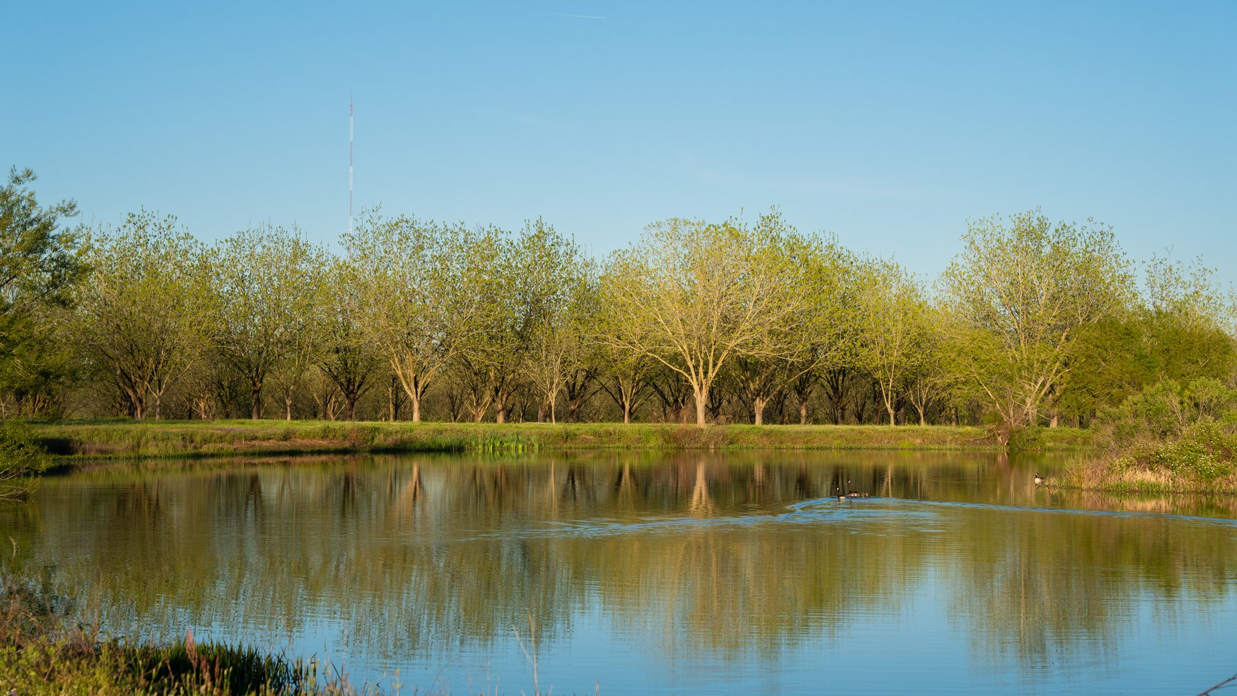 Image for 715+/- Acres - The Home Tract - Weybrenee Farms