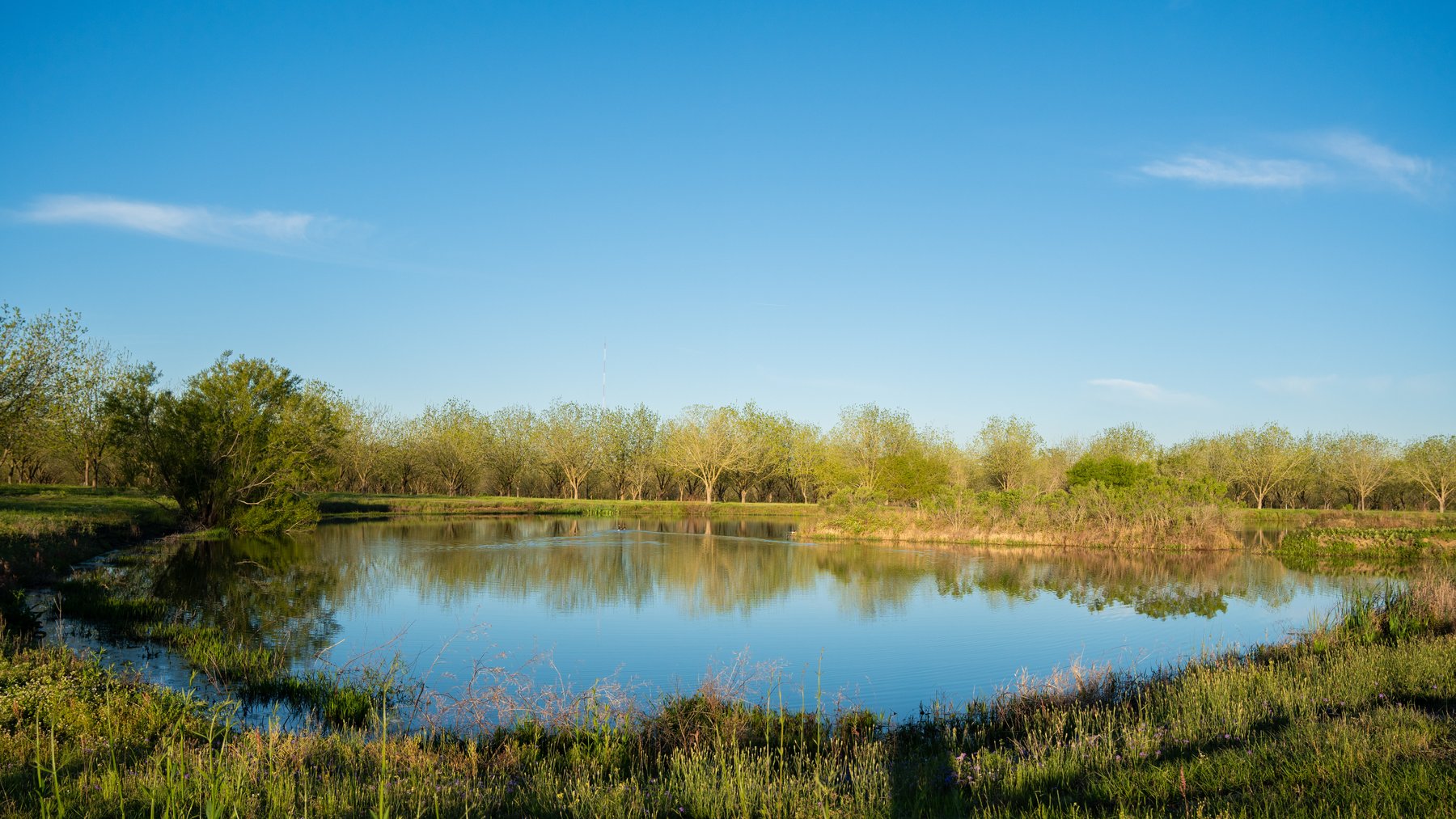 Image for 715+/- Acres - The Home Tract - Weybrenee Farms