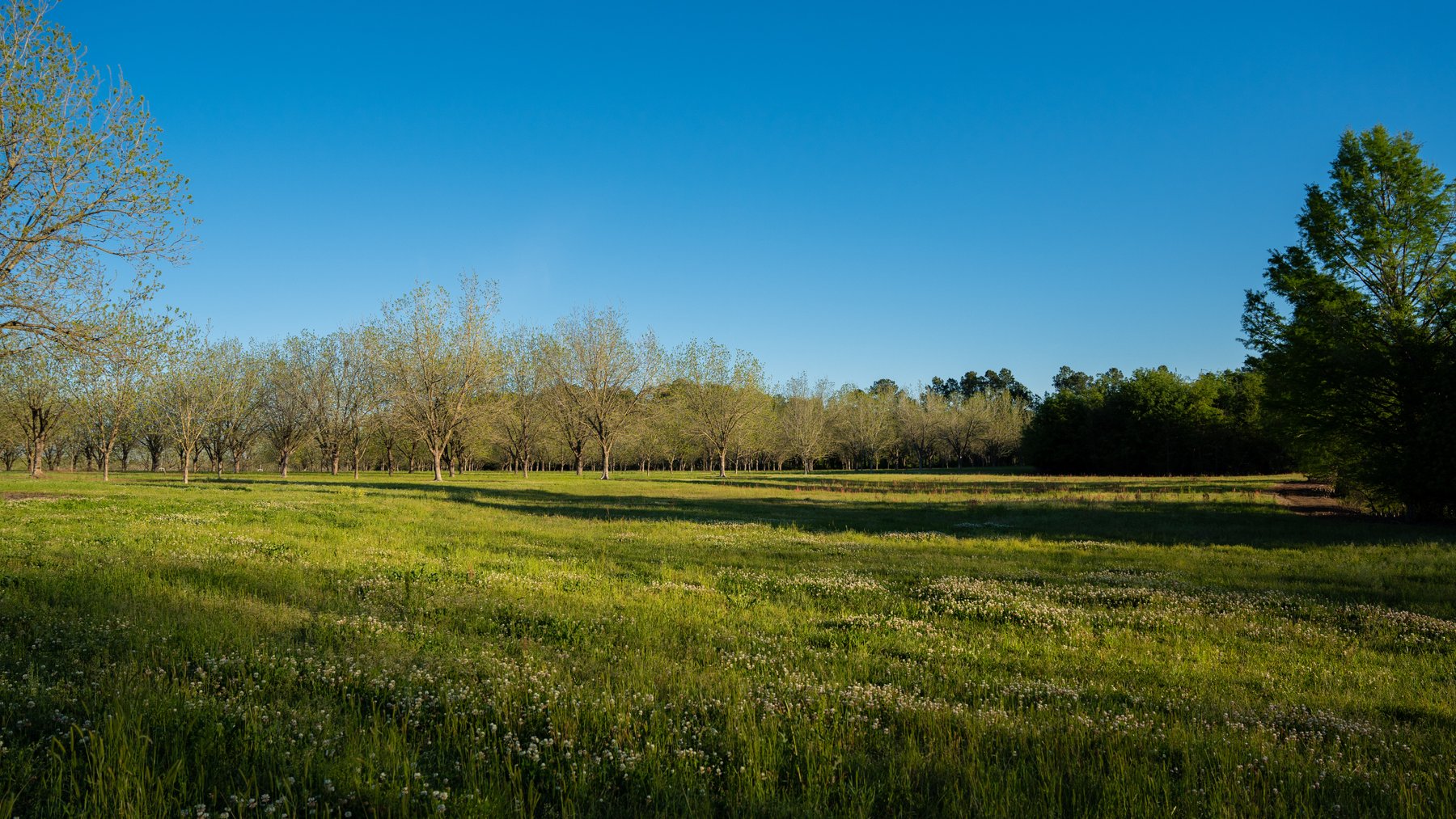 Image for 715+/- Acres - The Home Tract - Weybrenee Farms
