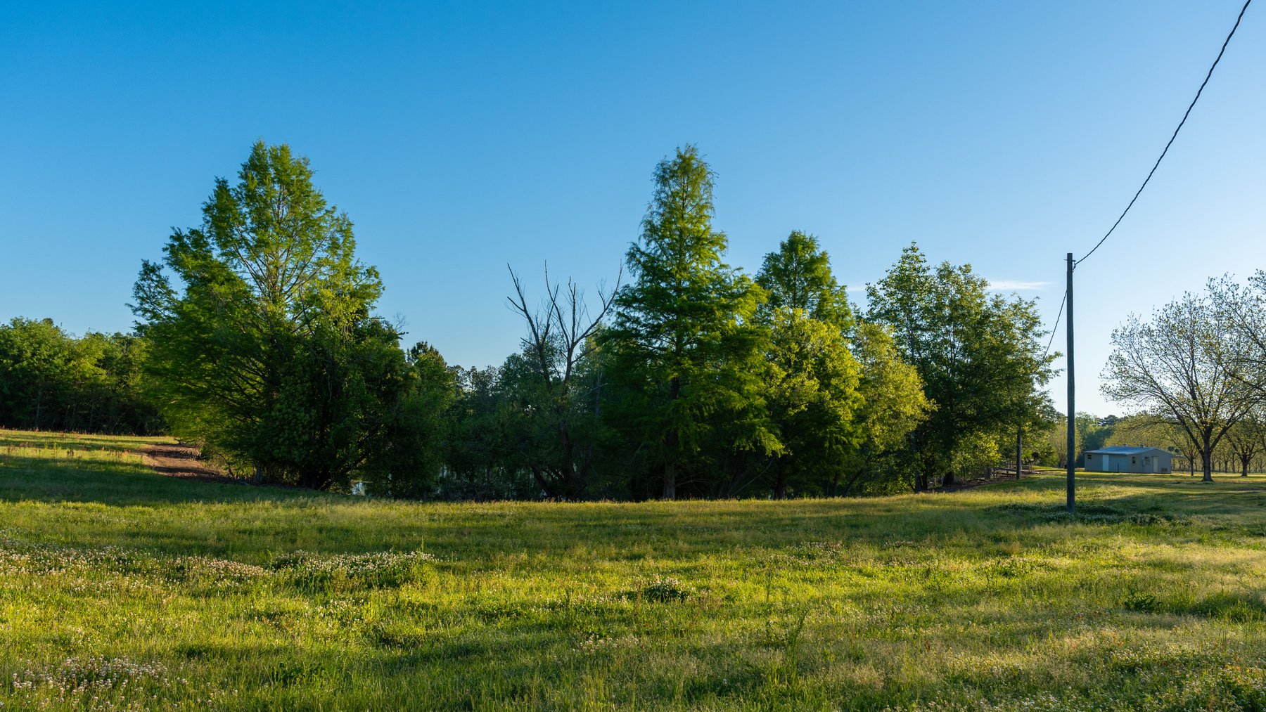 Image for 715+/- Acres - The Home Tract - Weybrenee Farms