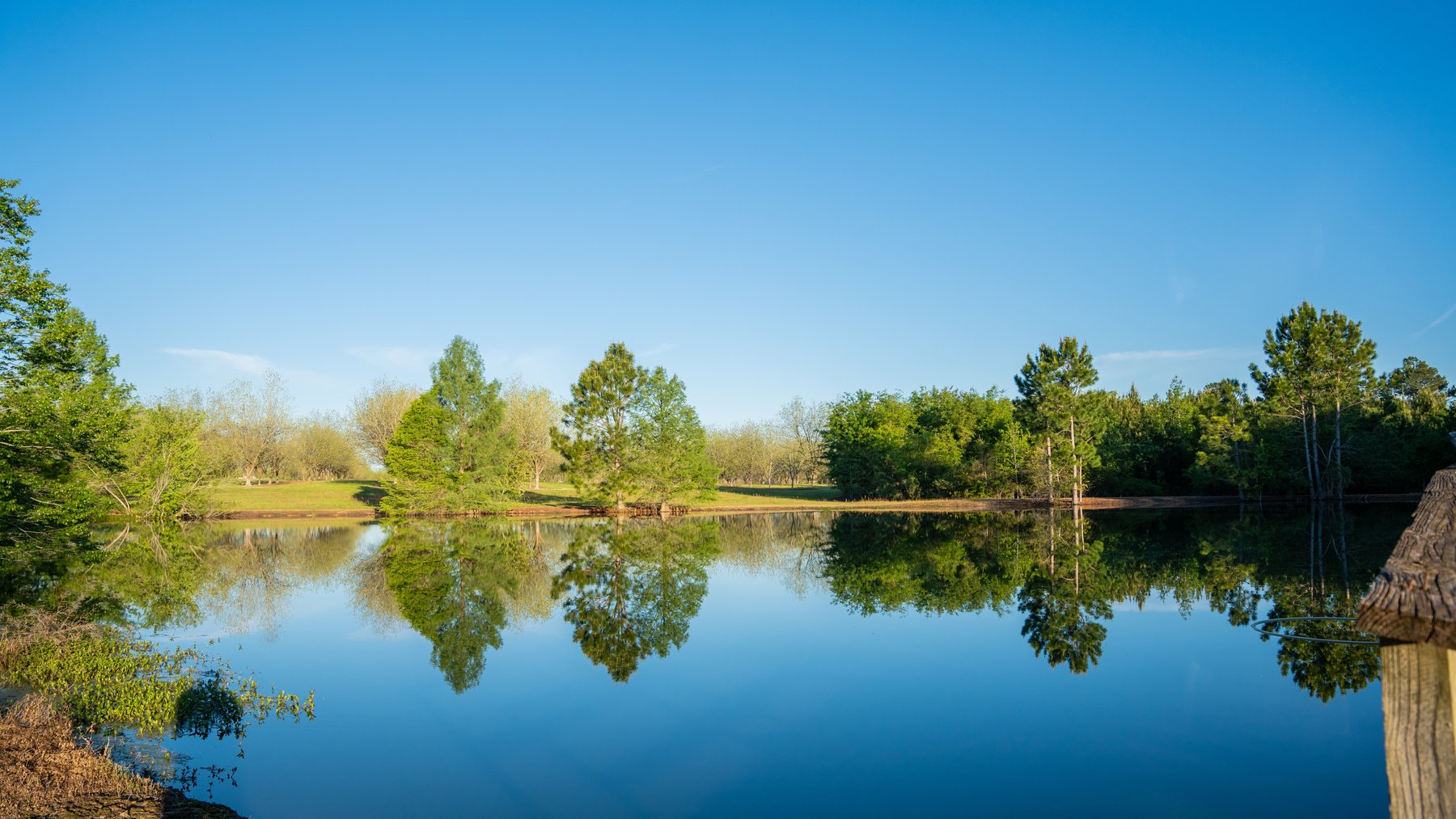 Image for 715+/- Acres - The Home Tract - Weybrenee Farms