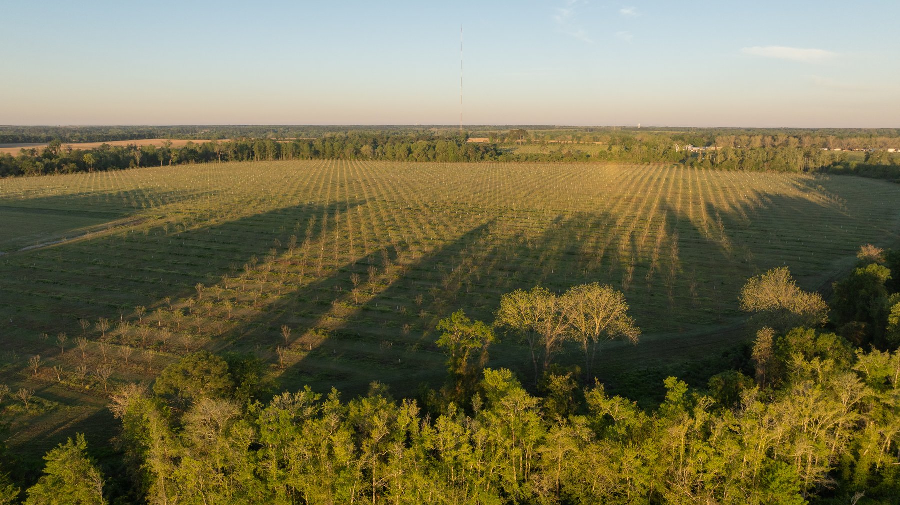 Image for 715+/- Acres - The Home Tract - Weybrenee Farms