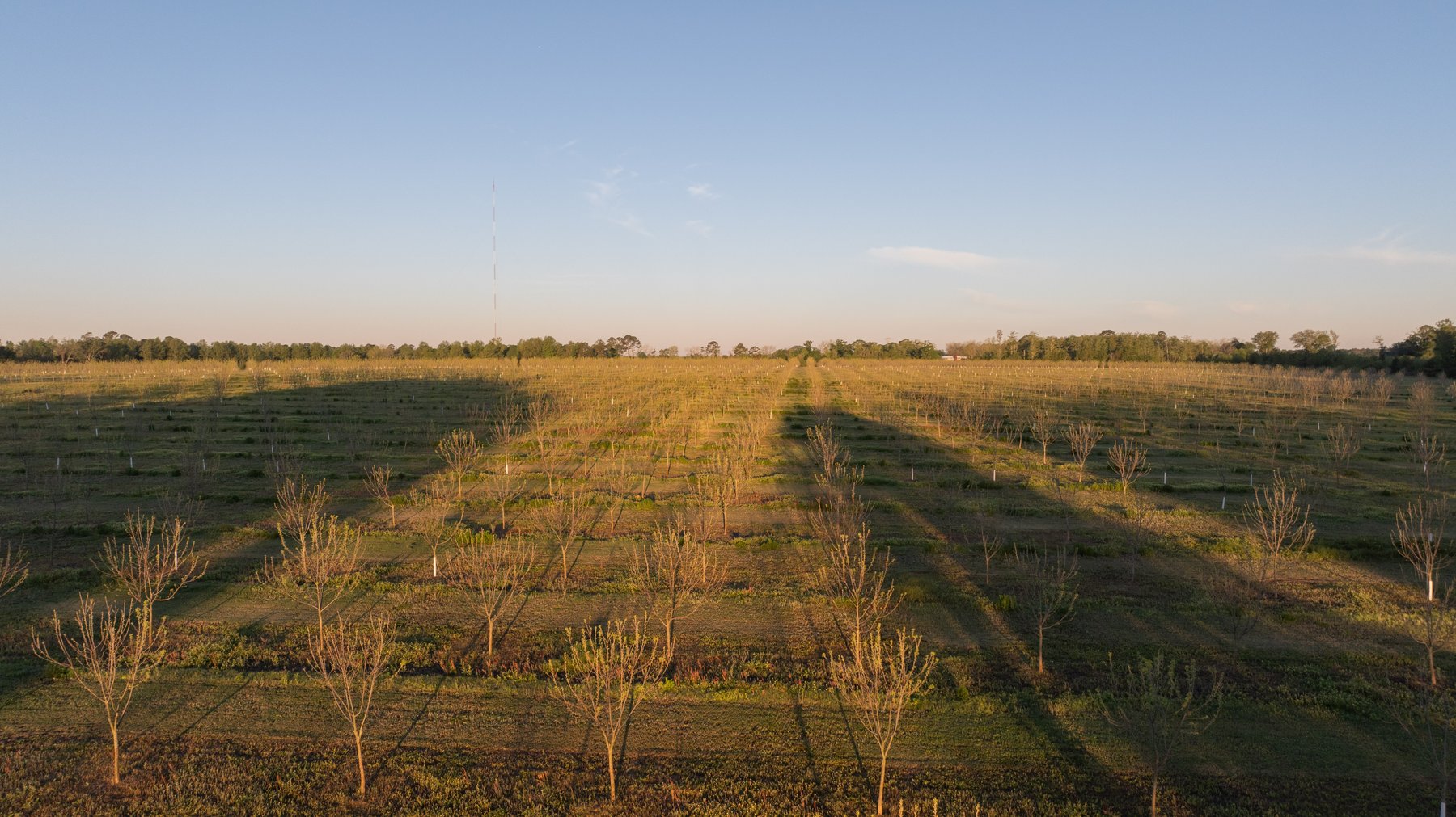 Image for 715+/- Acres - The Home Tract - Weybrenee Farms