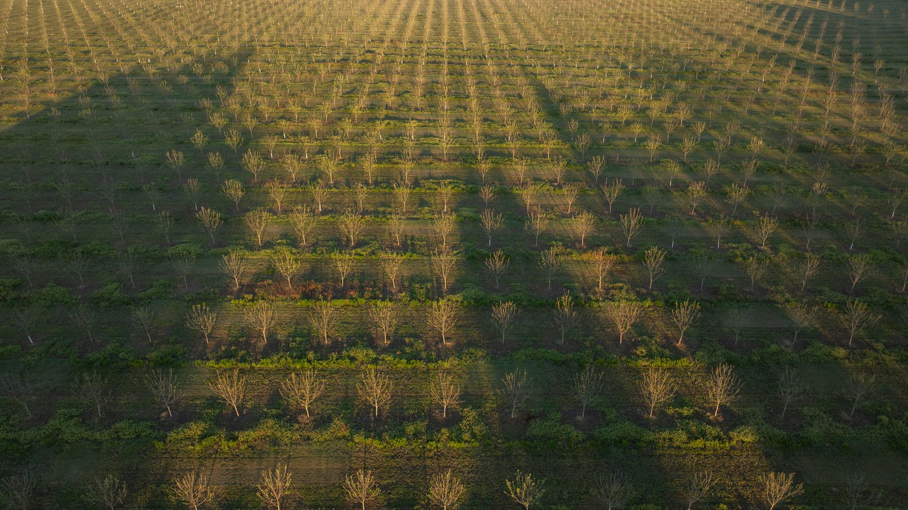 Image for 715+/- Acres - The Home Tract - Weybrenee Farms