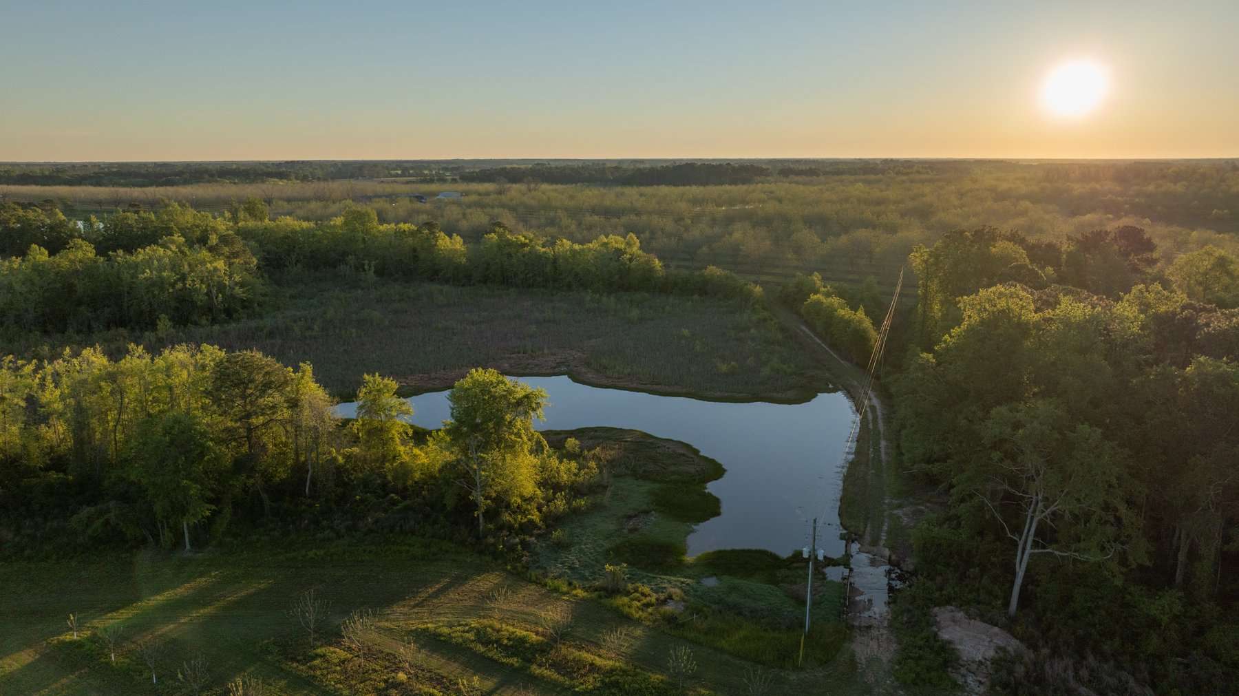 Image for 715+/- Acres - The Home Tract - Weybrenee Farms