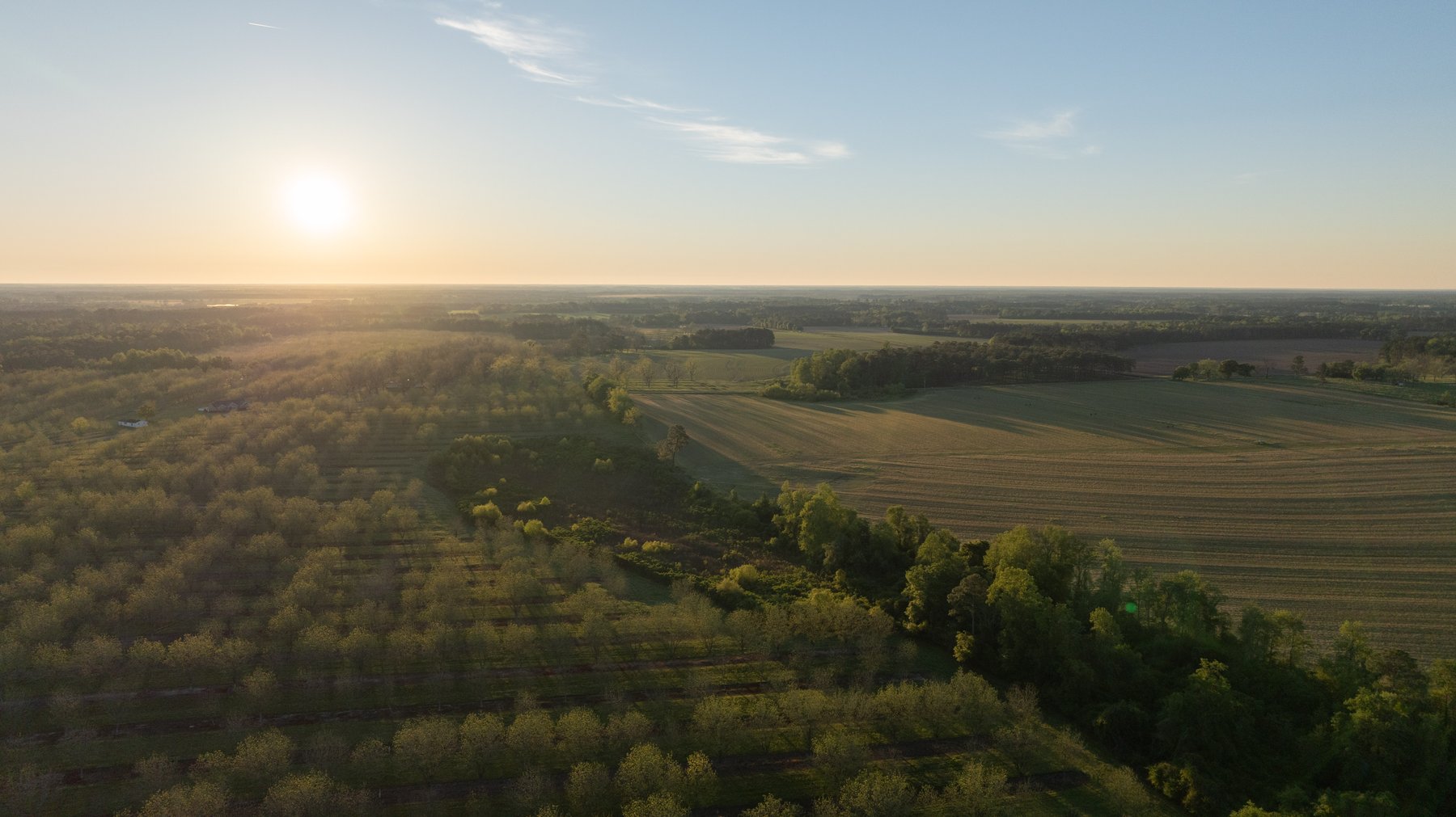 Image for 715+/- Acres - The Home Tract - Weybrenee Farms