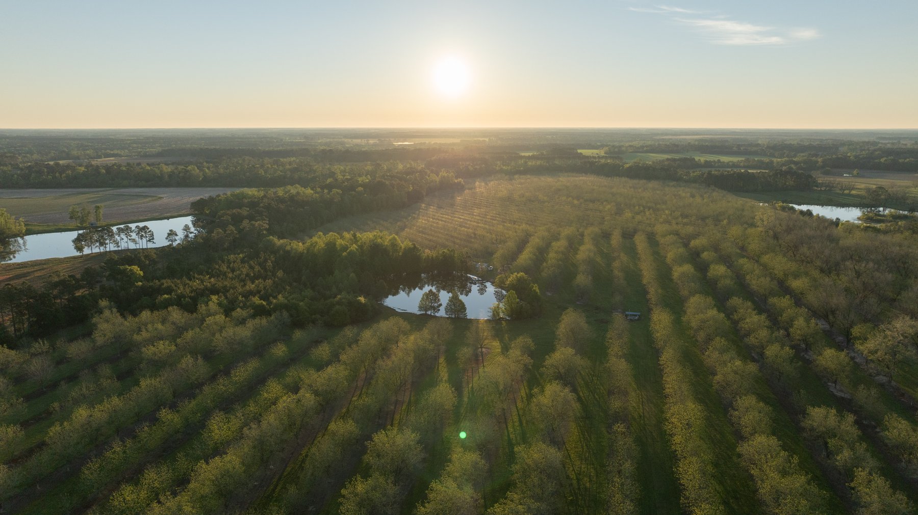 Image for 715+/- Acres - The Home Tract - Weybrenee Farms