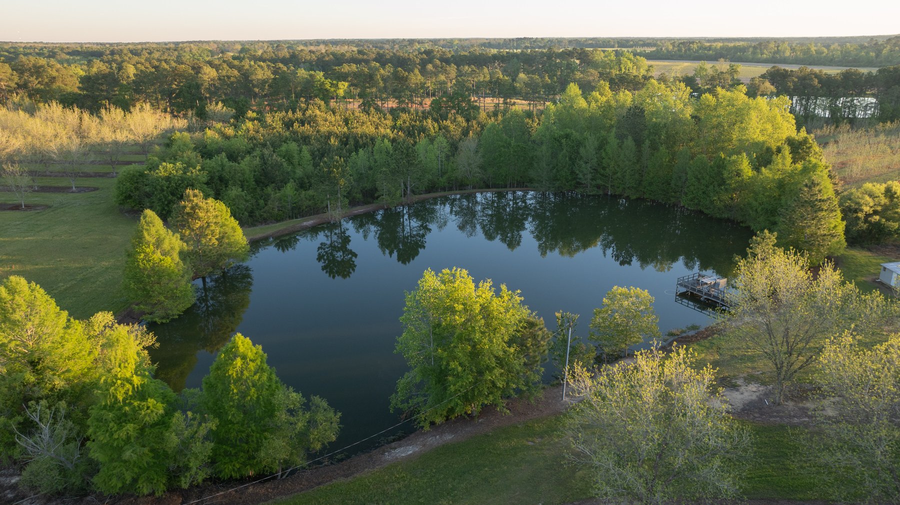 Image for 715+/- Acres - The Home Tract - Weybrenee Farms