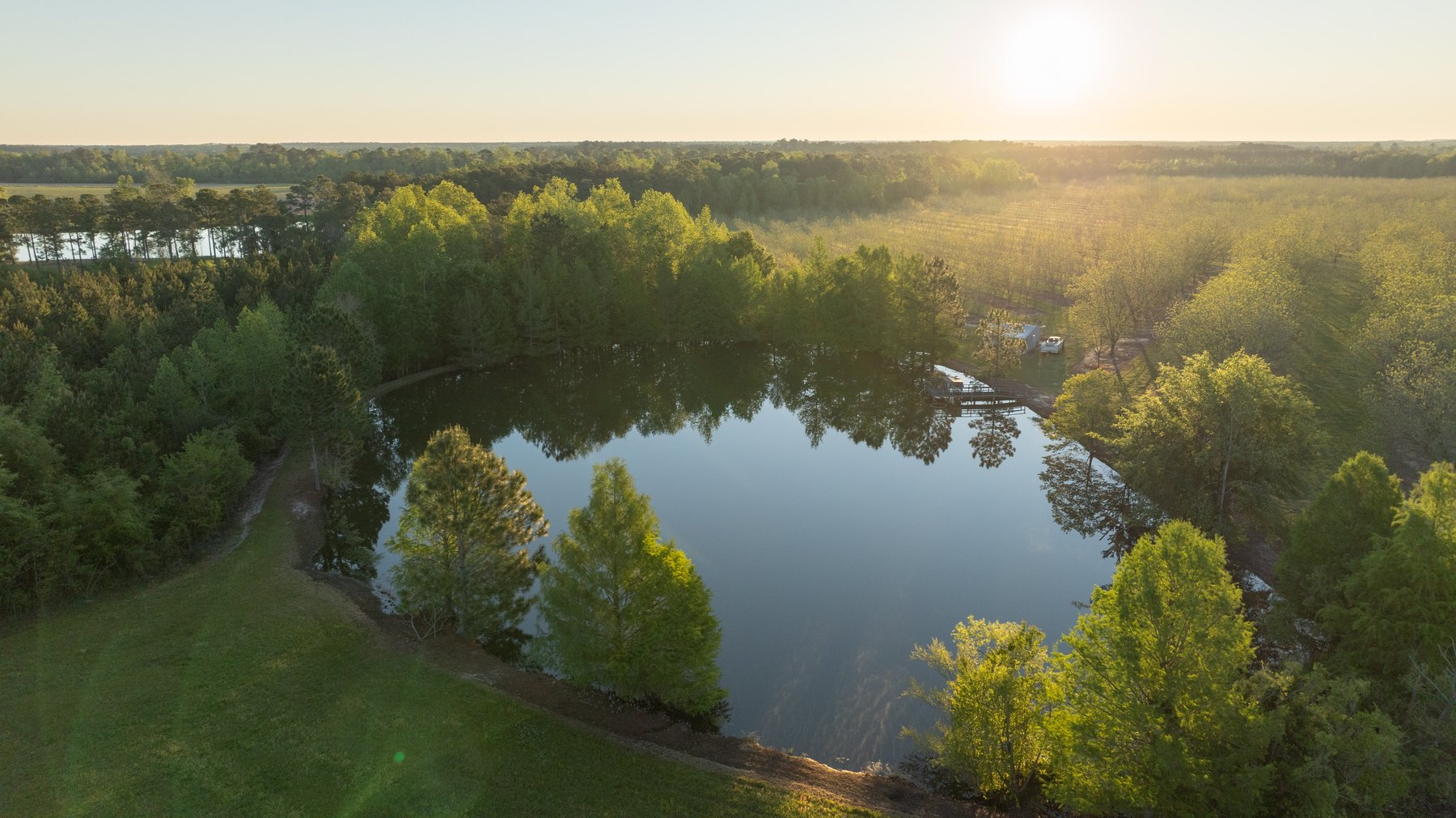 Image for 715+/- Acres - The Home Tract - Weybrenee Farms