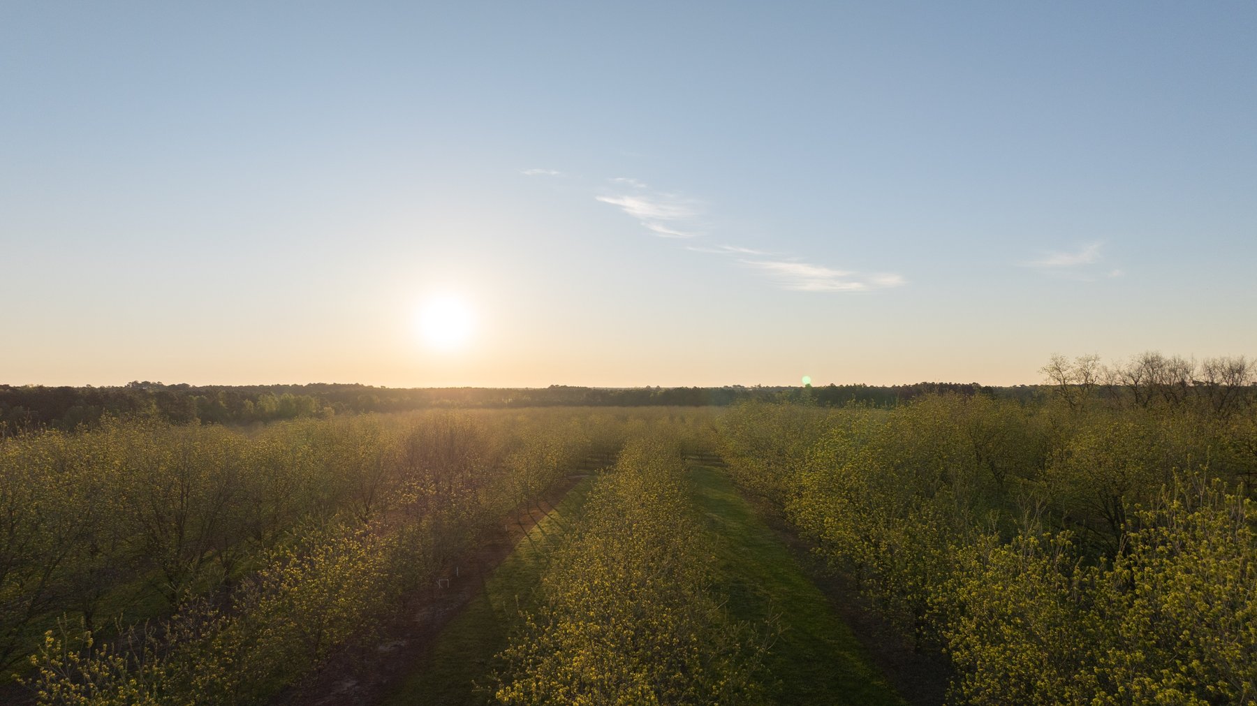 Image for 715+/- Acres - The Home Tract - Weybrenee Farms