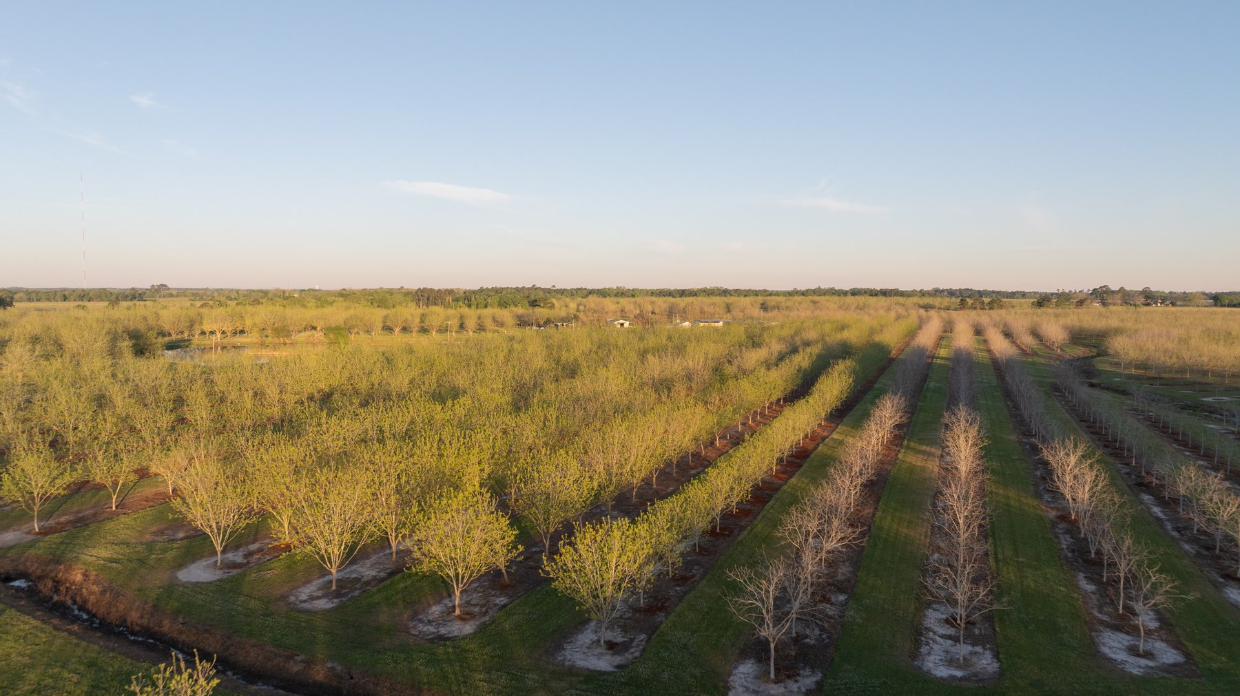 Image for 715+/- Acres - The Home Tract - Weybrenee Farms