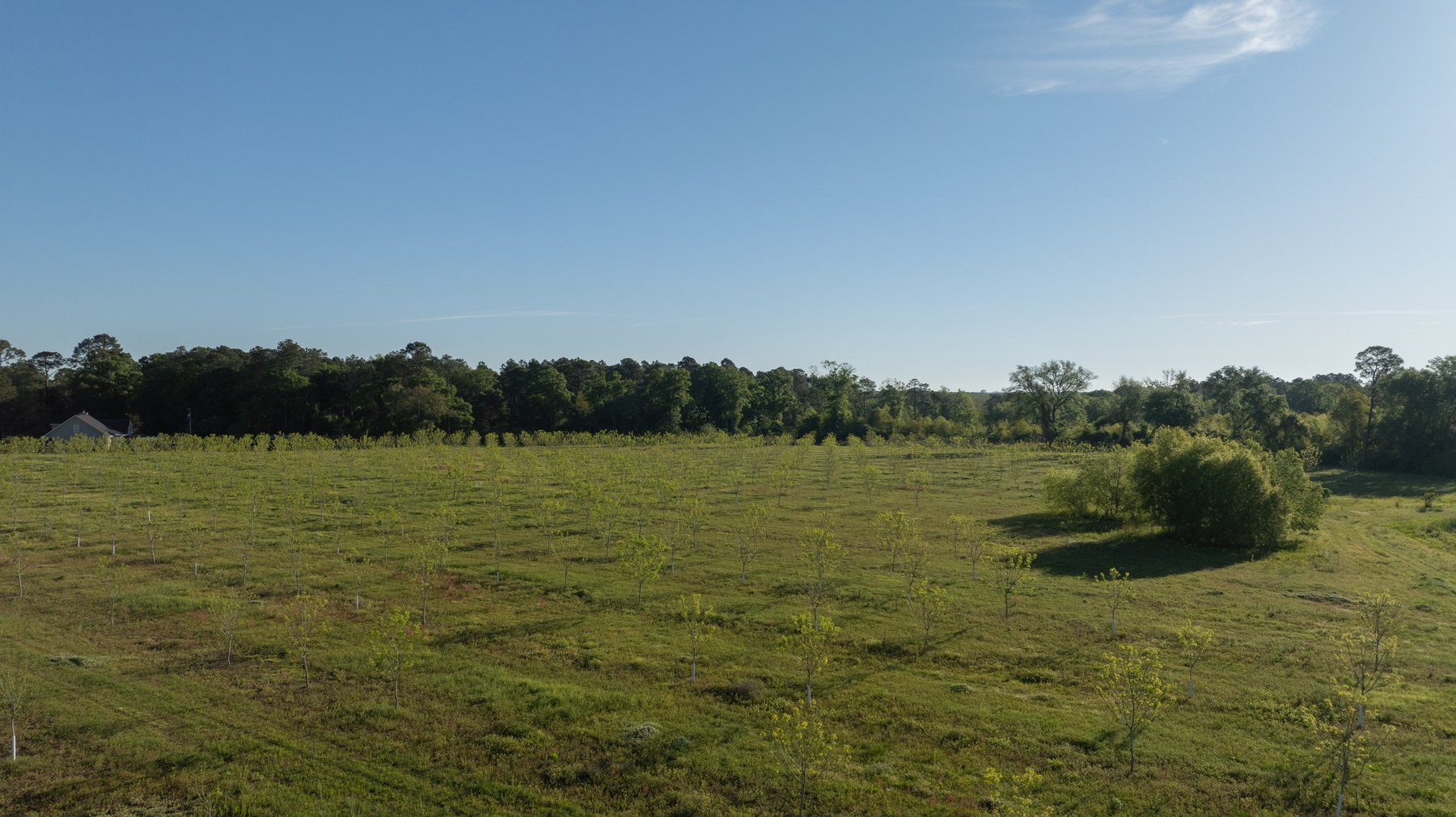 Image for 715+/- Acres - The Home Tract - Weybrenee Farms