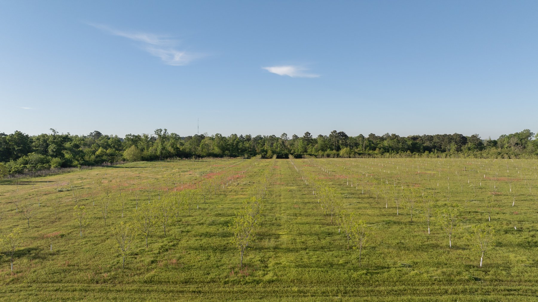 Image for 715+/- Acres - The Home Tract - Weybrenee Farms