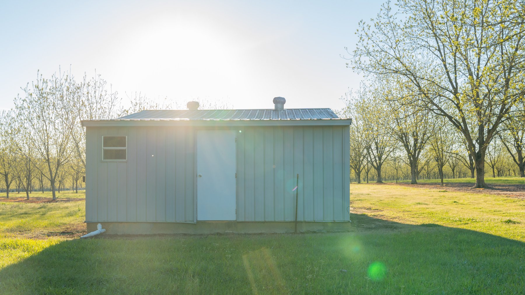 Image for 715+/- Acres - The Home Tract - Weybrenee Farms