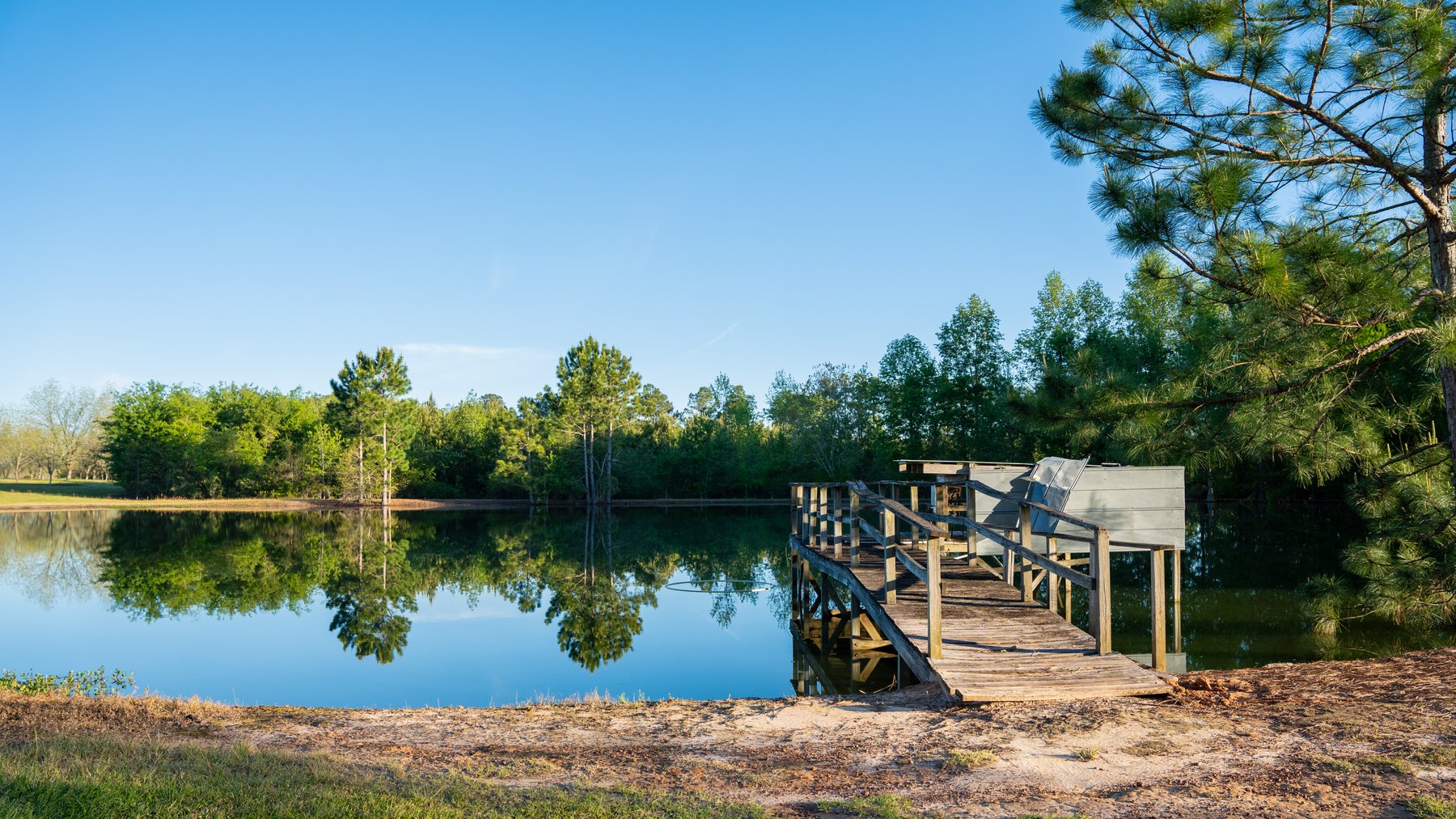 Image for 715+/- Acres - The Home Tract - Weybrenee Farms