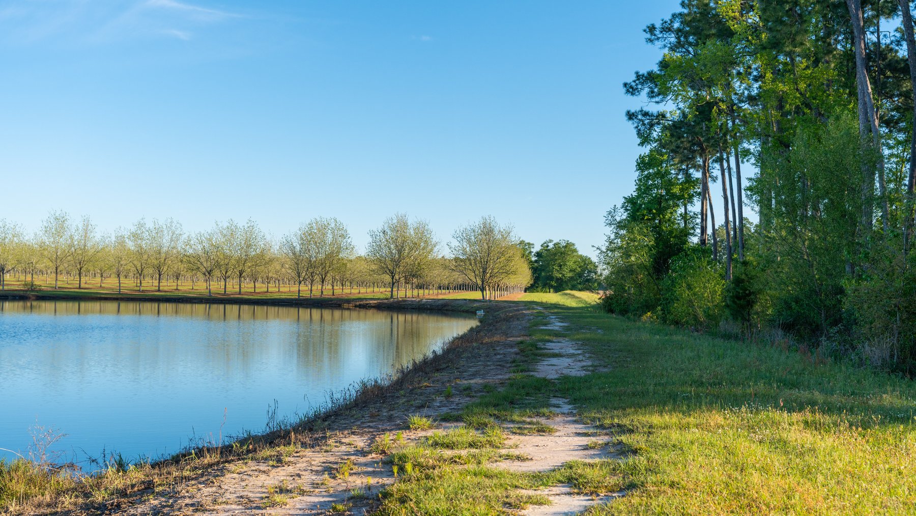 Image for 715+/- Acres - The Home Tract - Weybrenee Farms