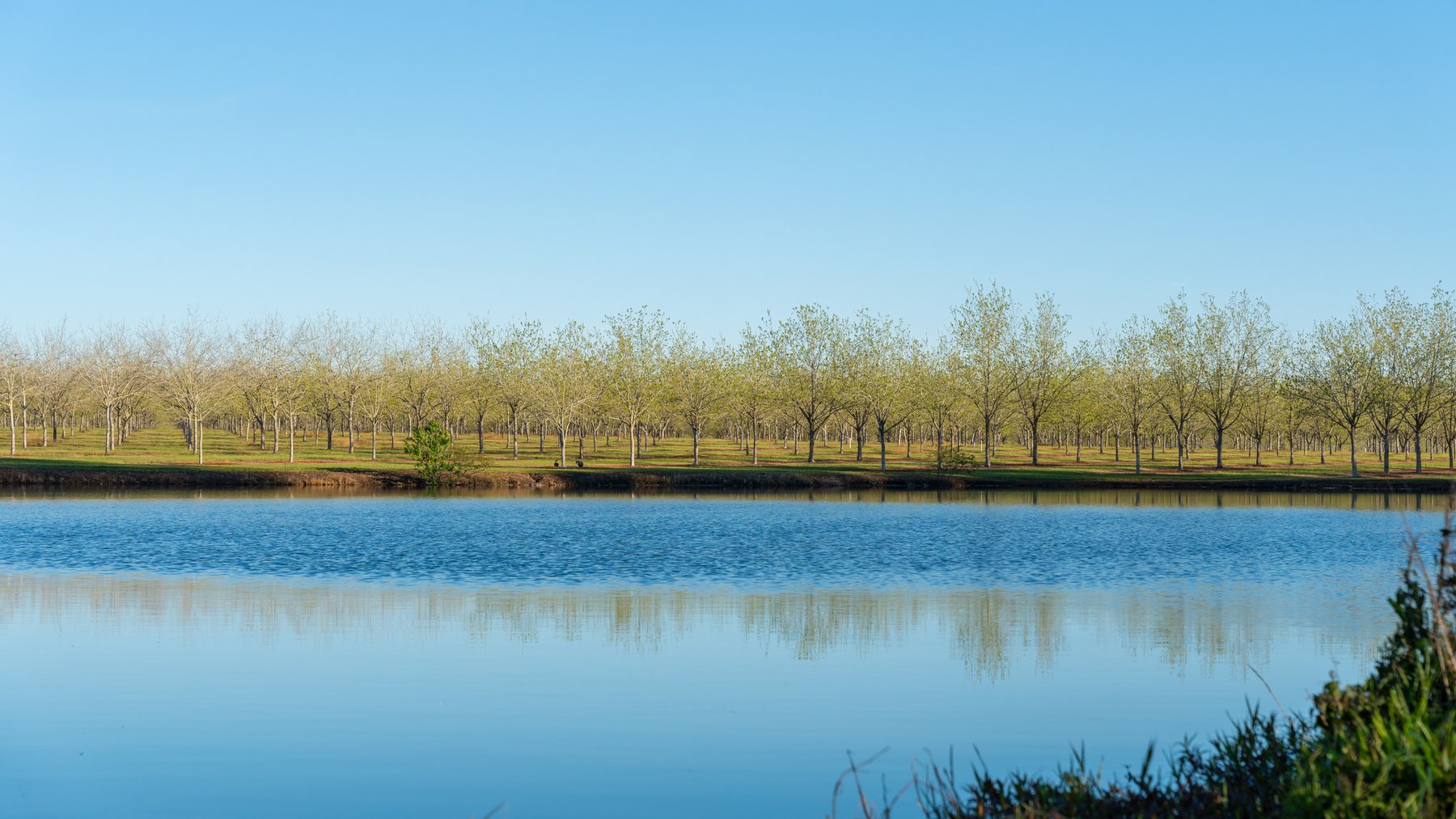 Image for 715+/- Acres - The Home Tract - Weybrenee Farms