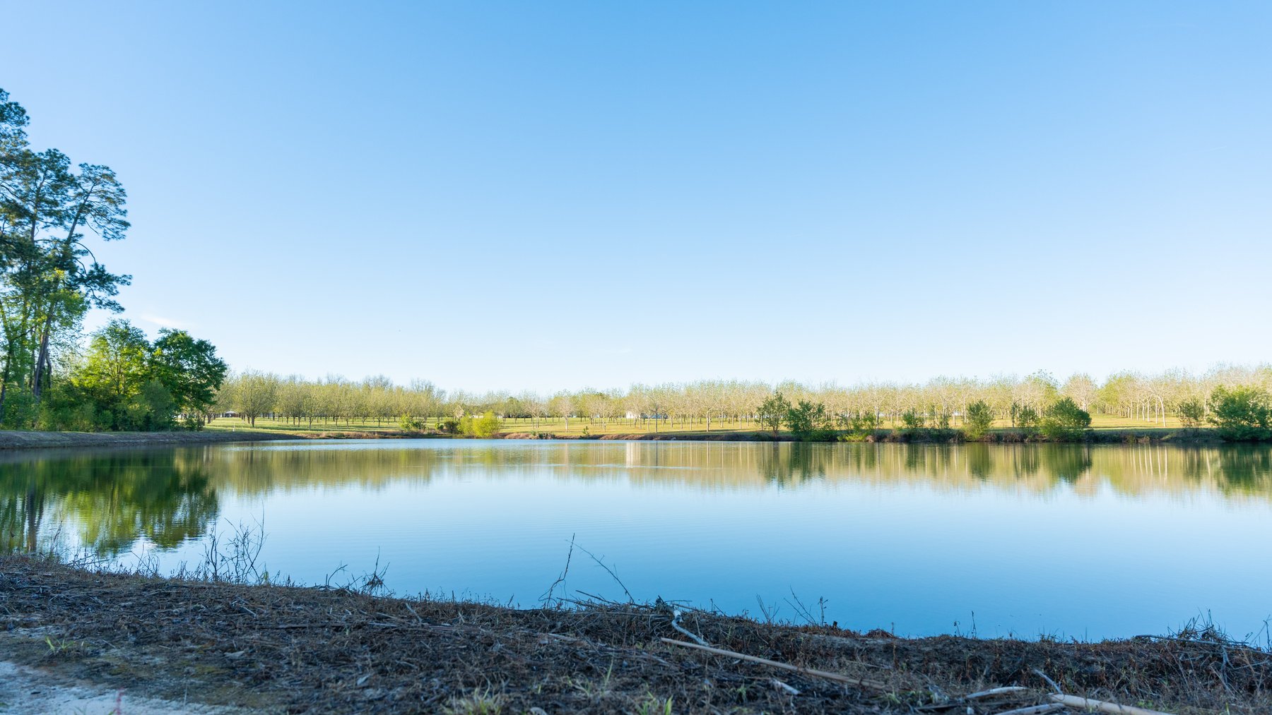 Image for 715+/- Acres - The Home Tract - Weybrenee Farms