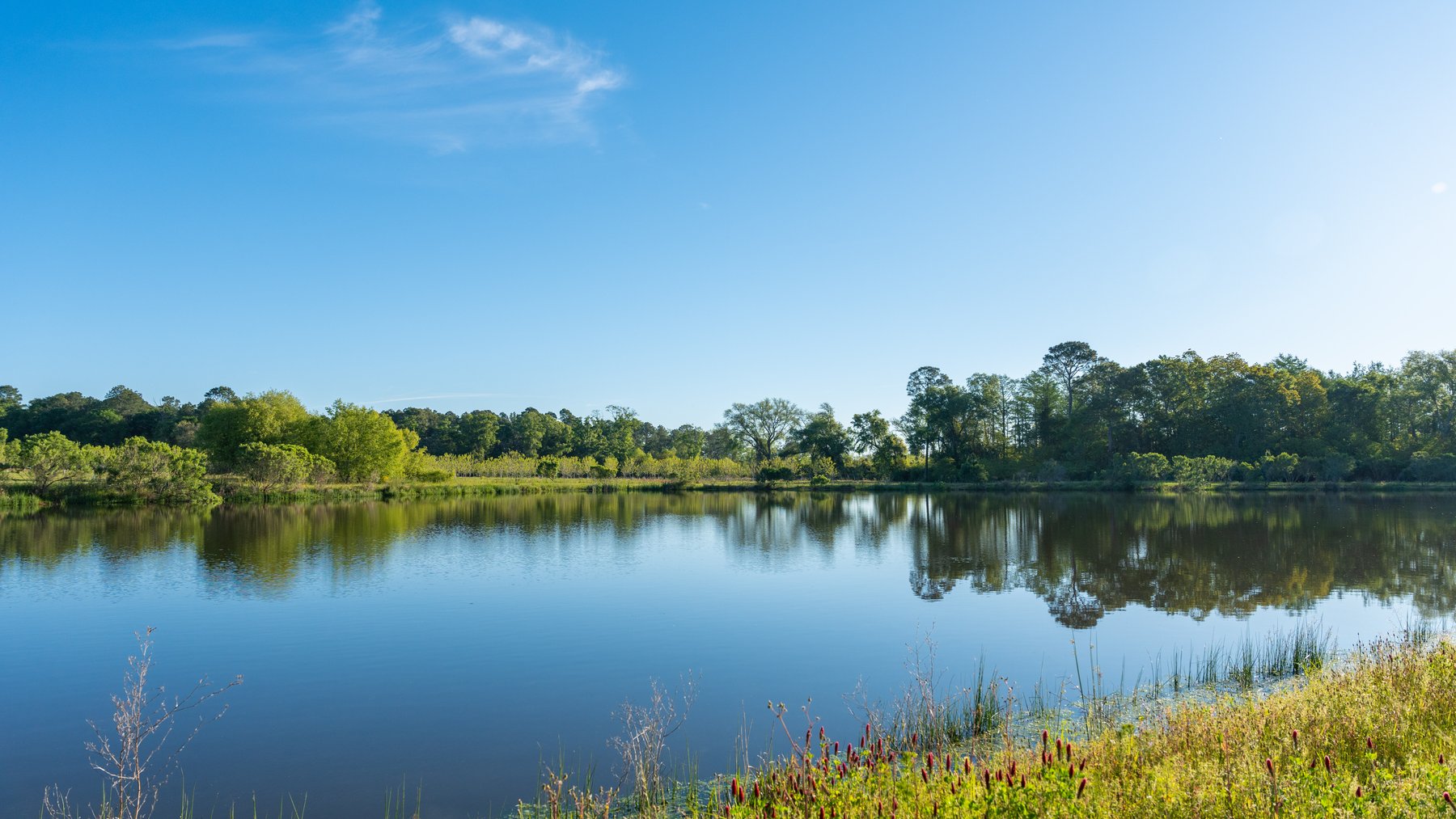 Image for 715+/- Acres - The Home Tract - Weybrenee Farms