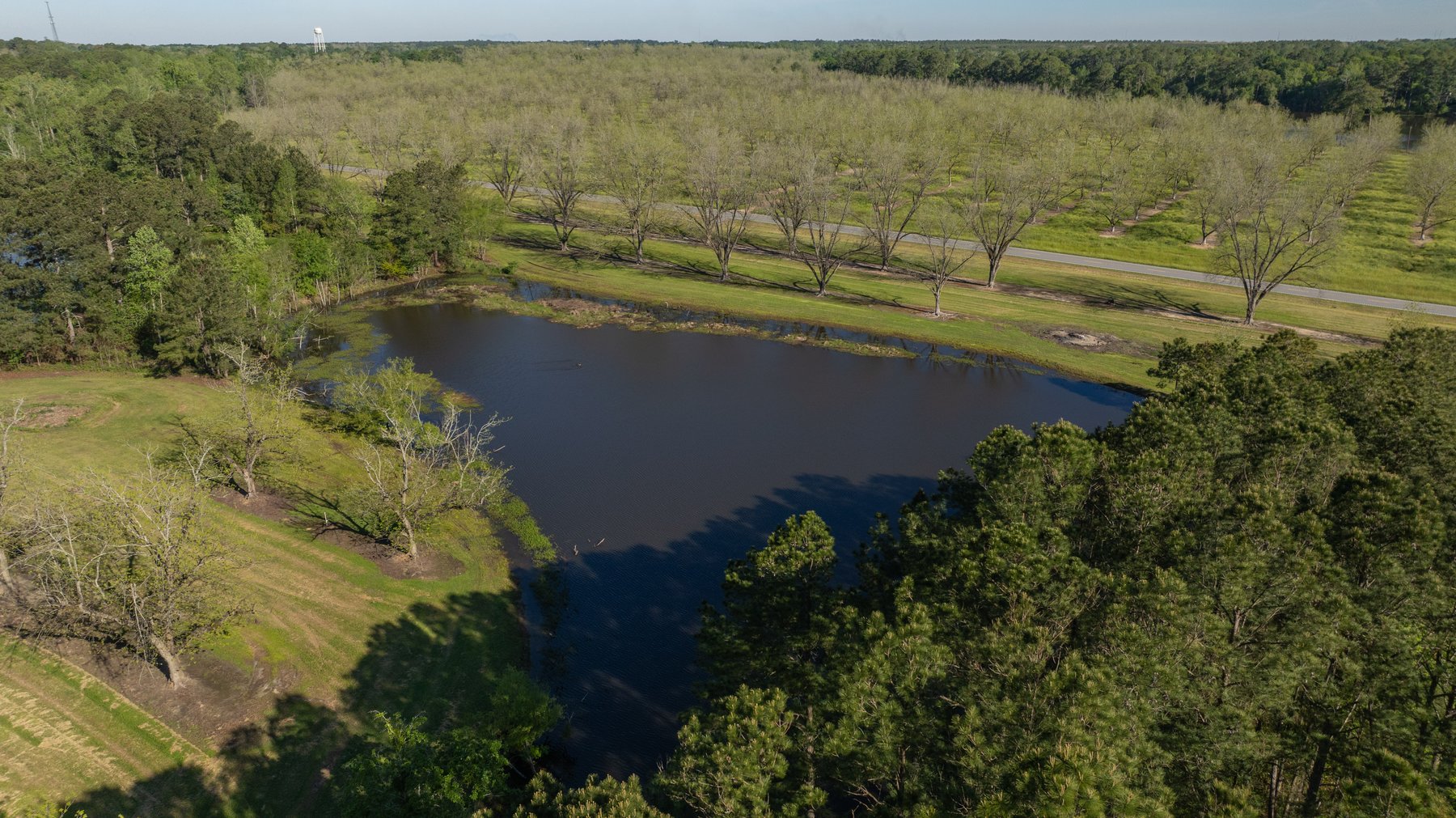 Image for 103+/- Acres - The Hand Tract - Weybrenee Farms