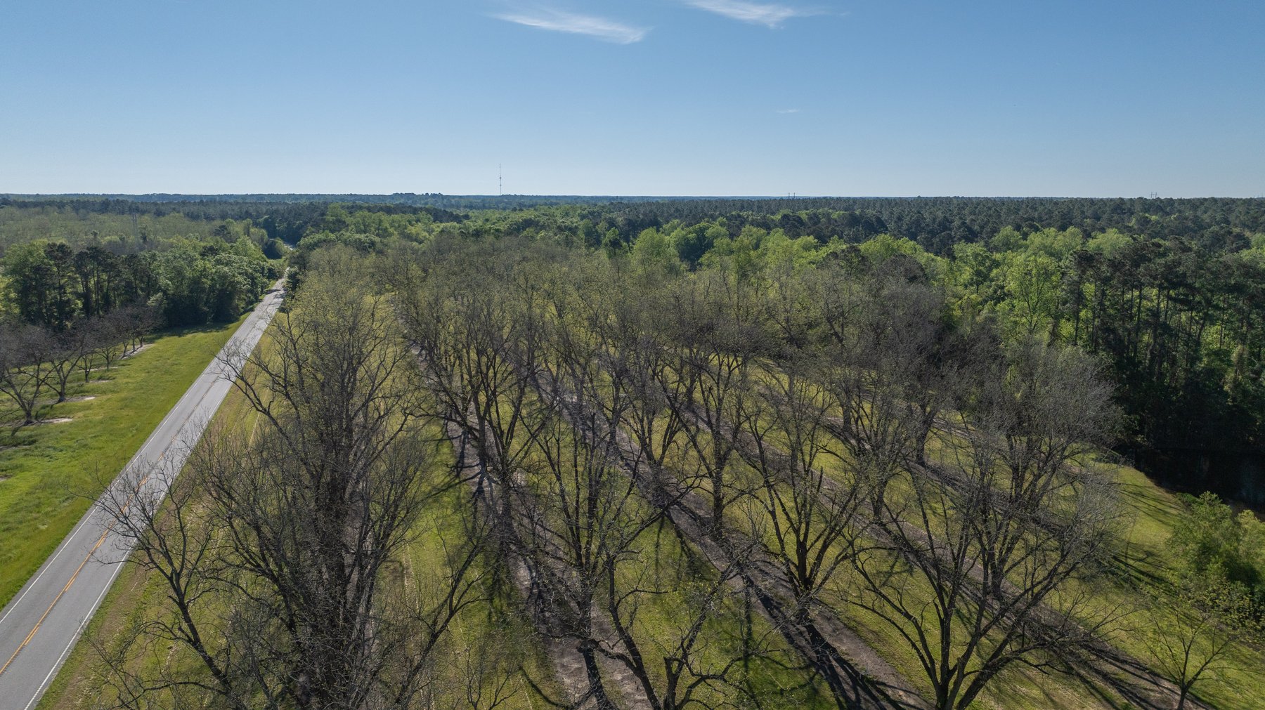Image for 103+/- Acres - The Hand Tract - Weybrenee Farms