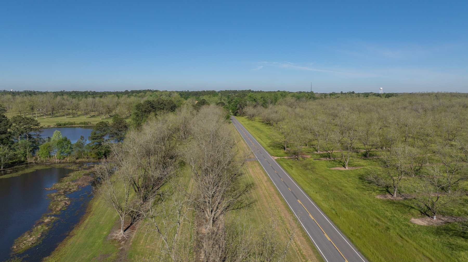 Image for 103+/- Acres - The Hand Tract - Weybrenee Farms