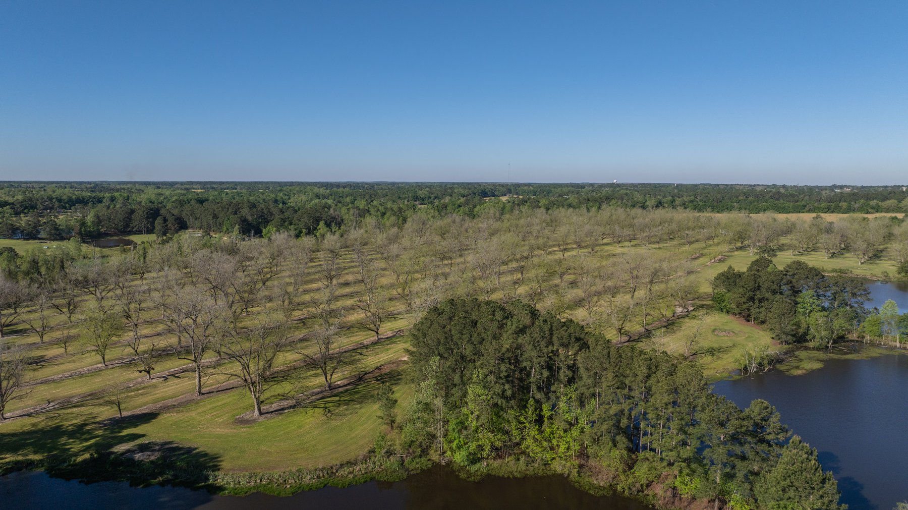 Image for 103+/- Acres - The Hand Tract - Weybrenee Farms