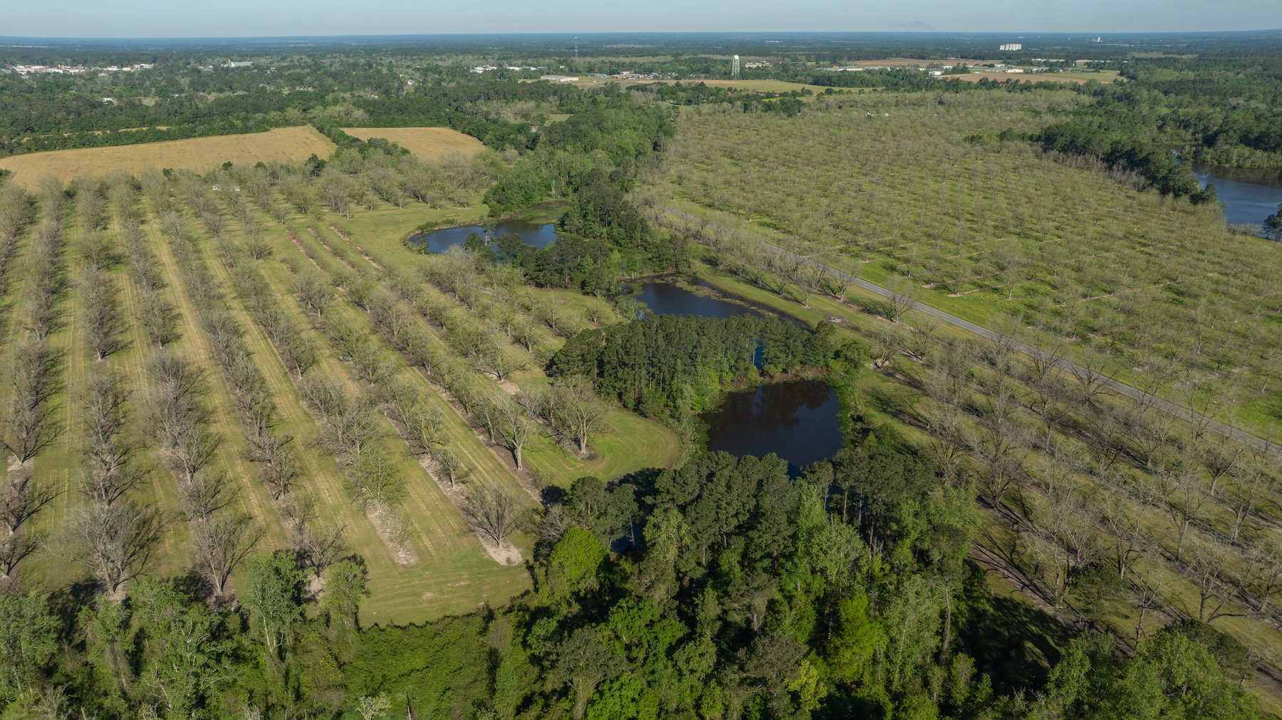 Image for 103+/- Acres - The Hand Tract - Weybrenee Farms