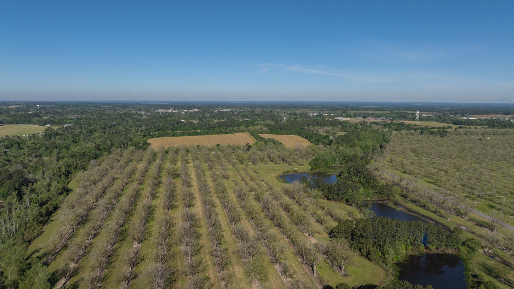 Image for 103+/- Acres - The Hand Tract - Weybrenee Farms