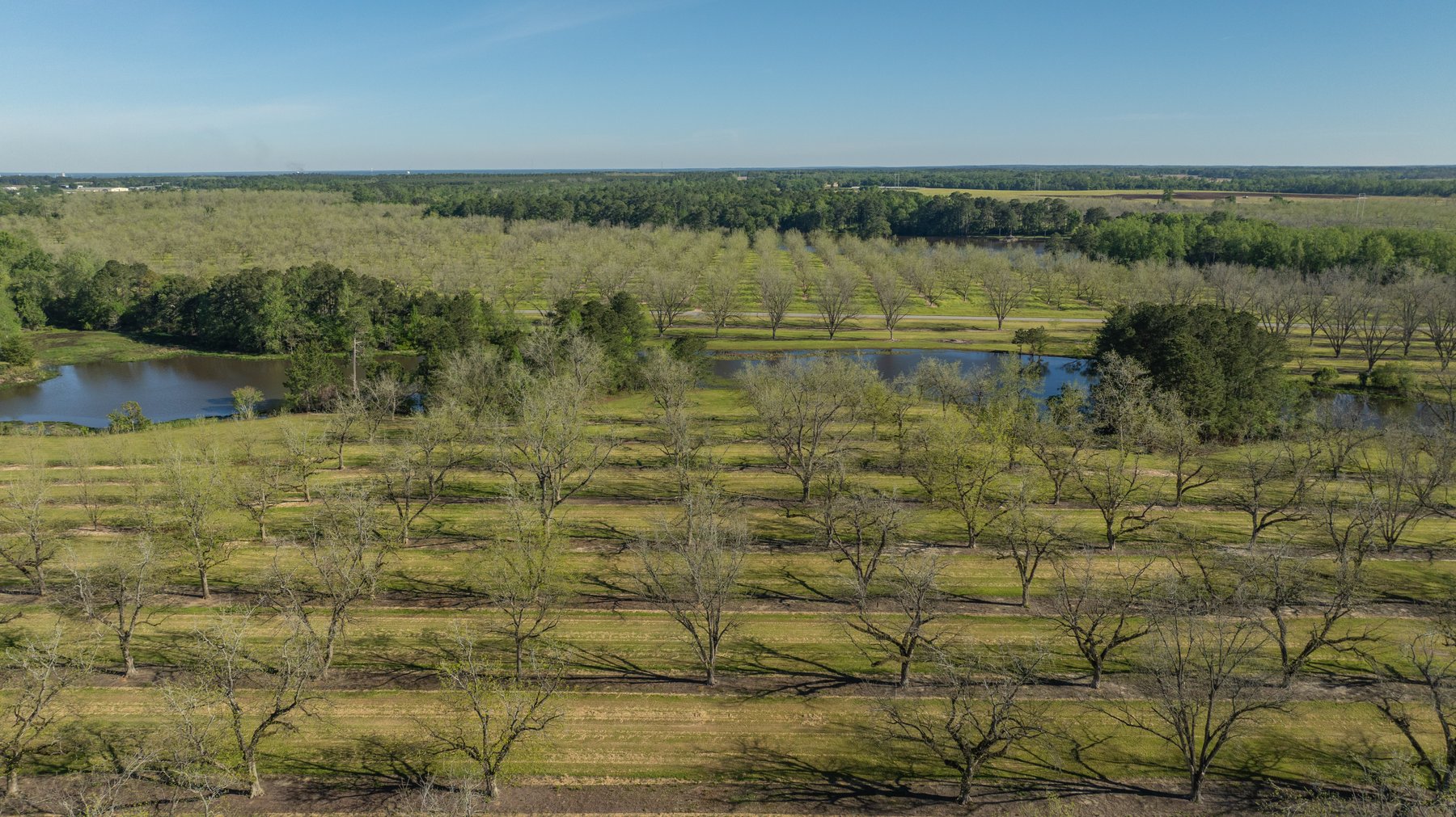 Image for 103+/- Acres - The Hand Tract - Weybrenee Farms